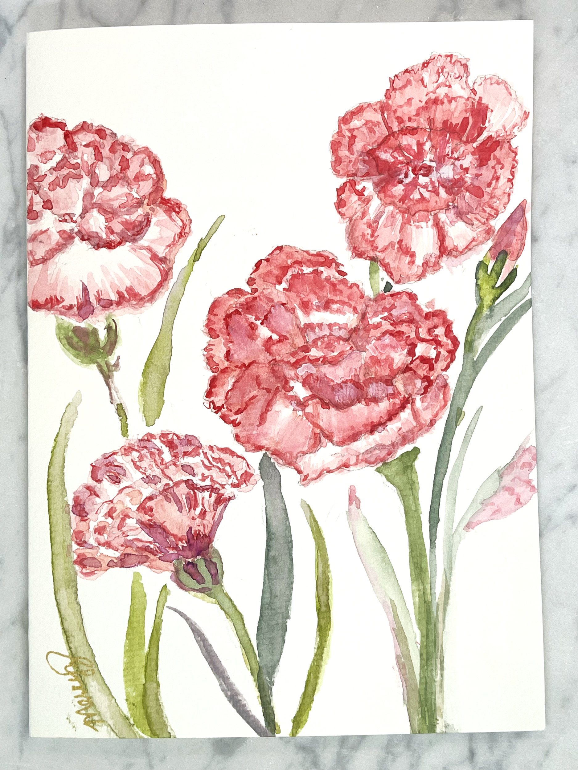 Karen's carnations