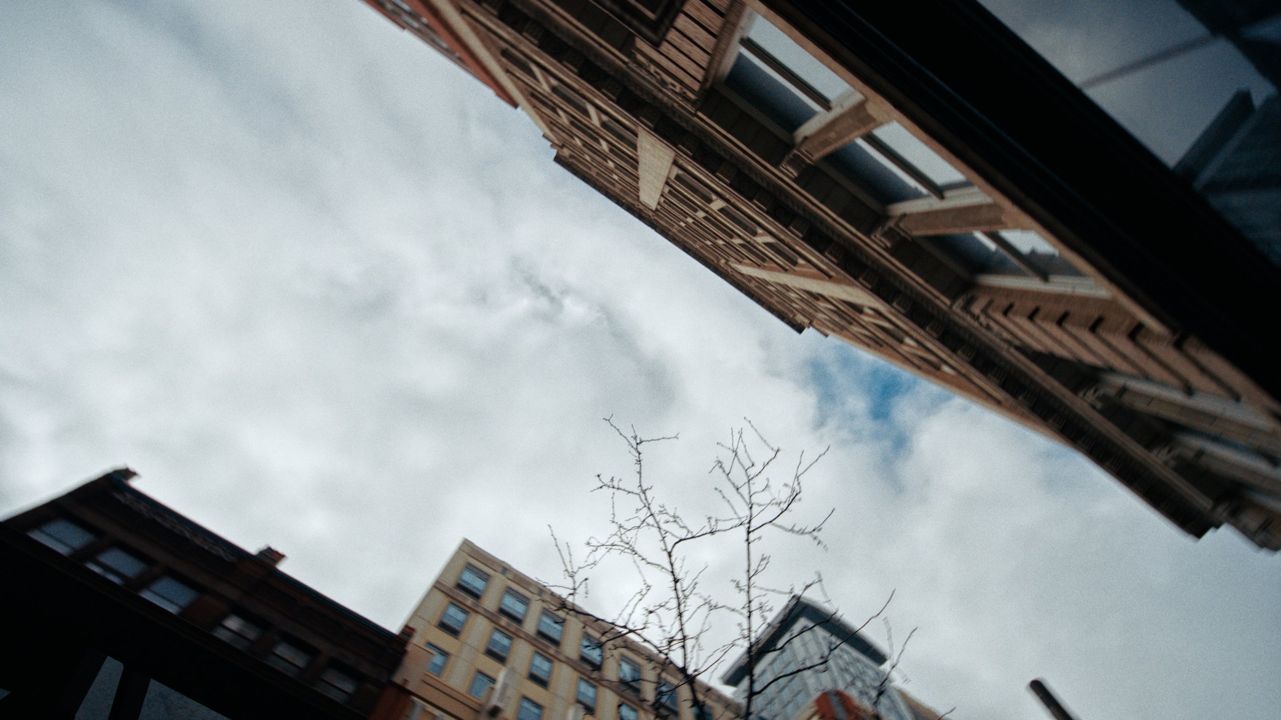 Still 2026-03-02 231548_1.1.2.jpg