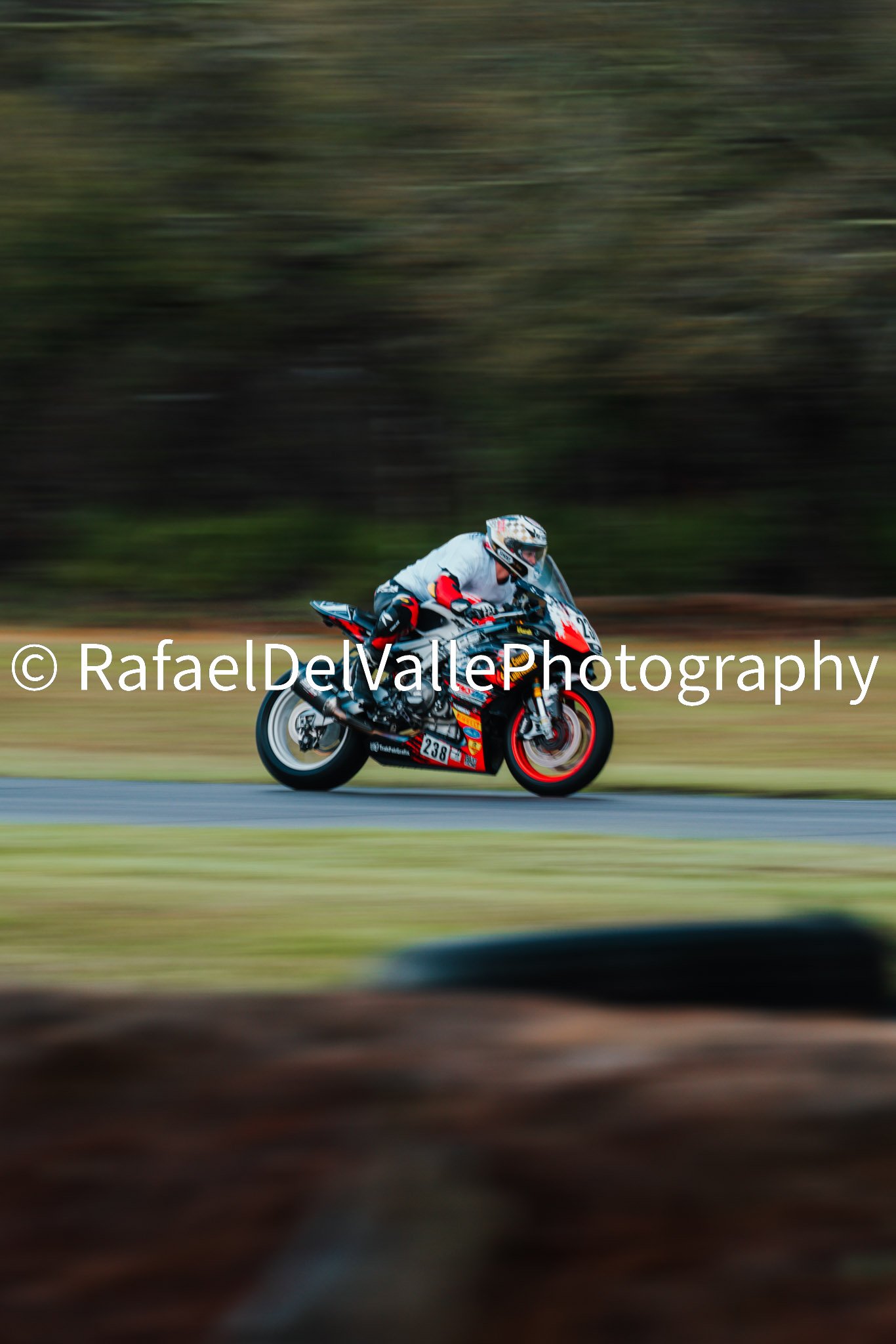Triumph Track Day 3/31/25 #19