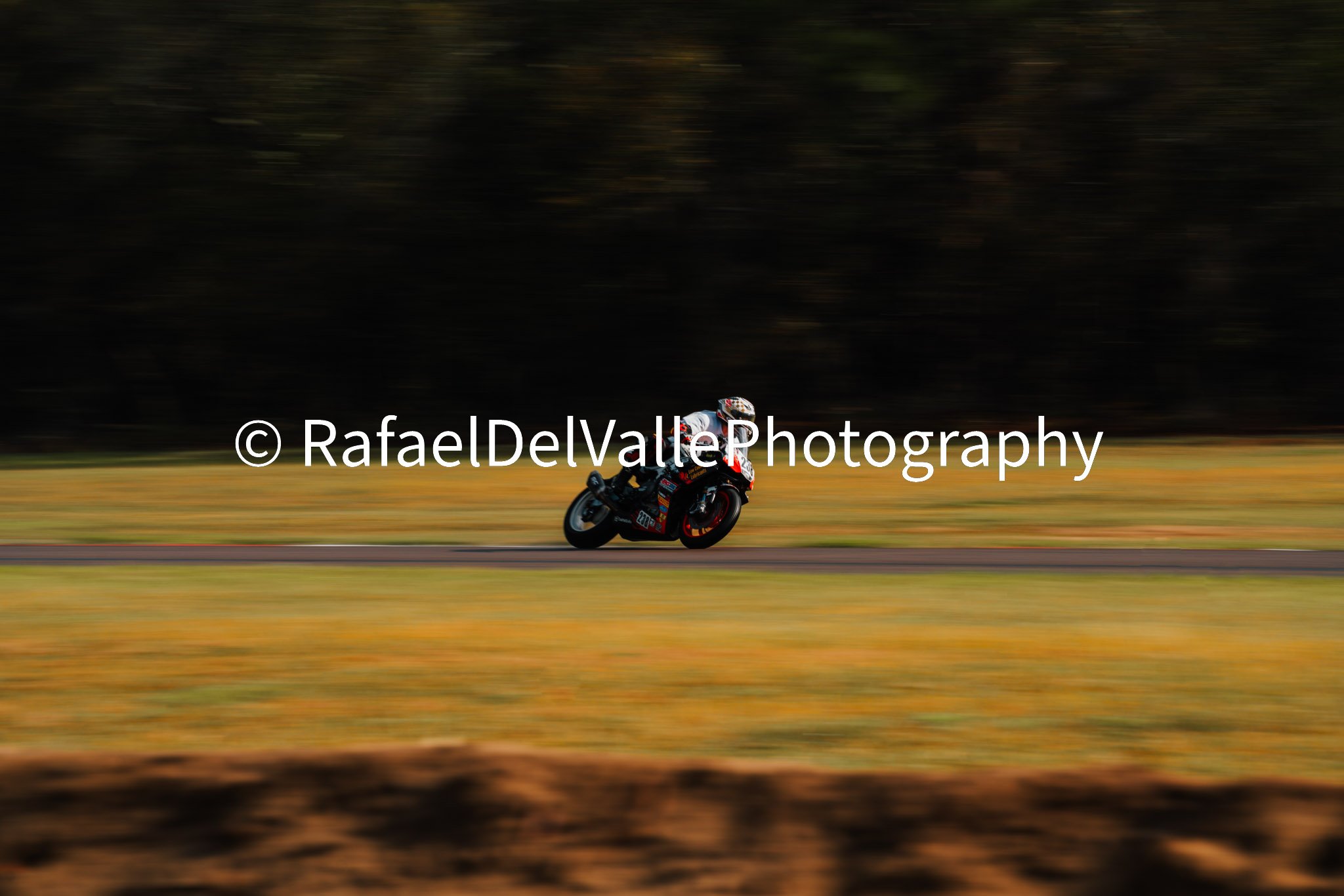 Triumph Track Day 3/31/25 #37