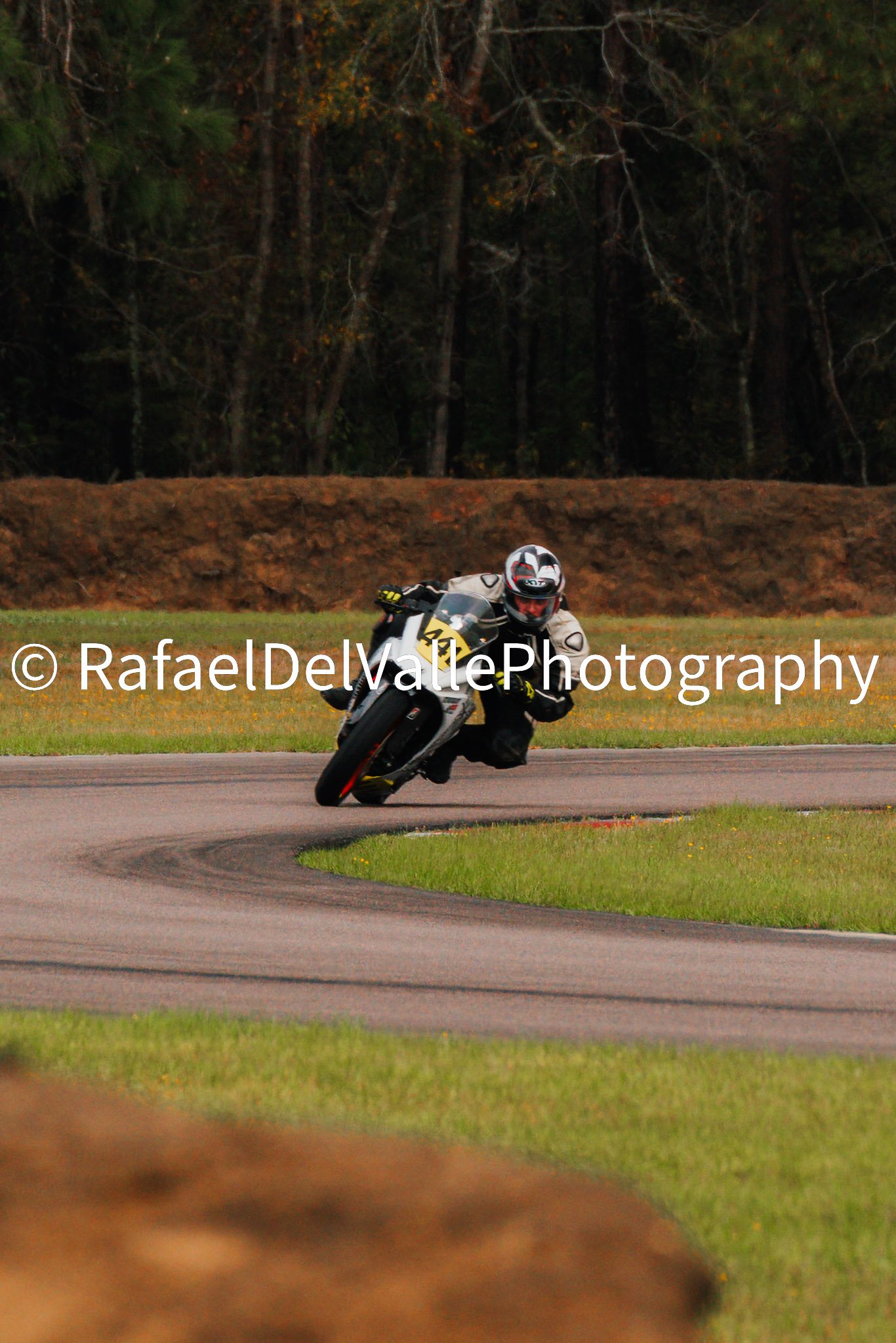 Triumph Track Day 3/31/25 #107