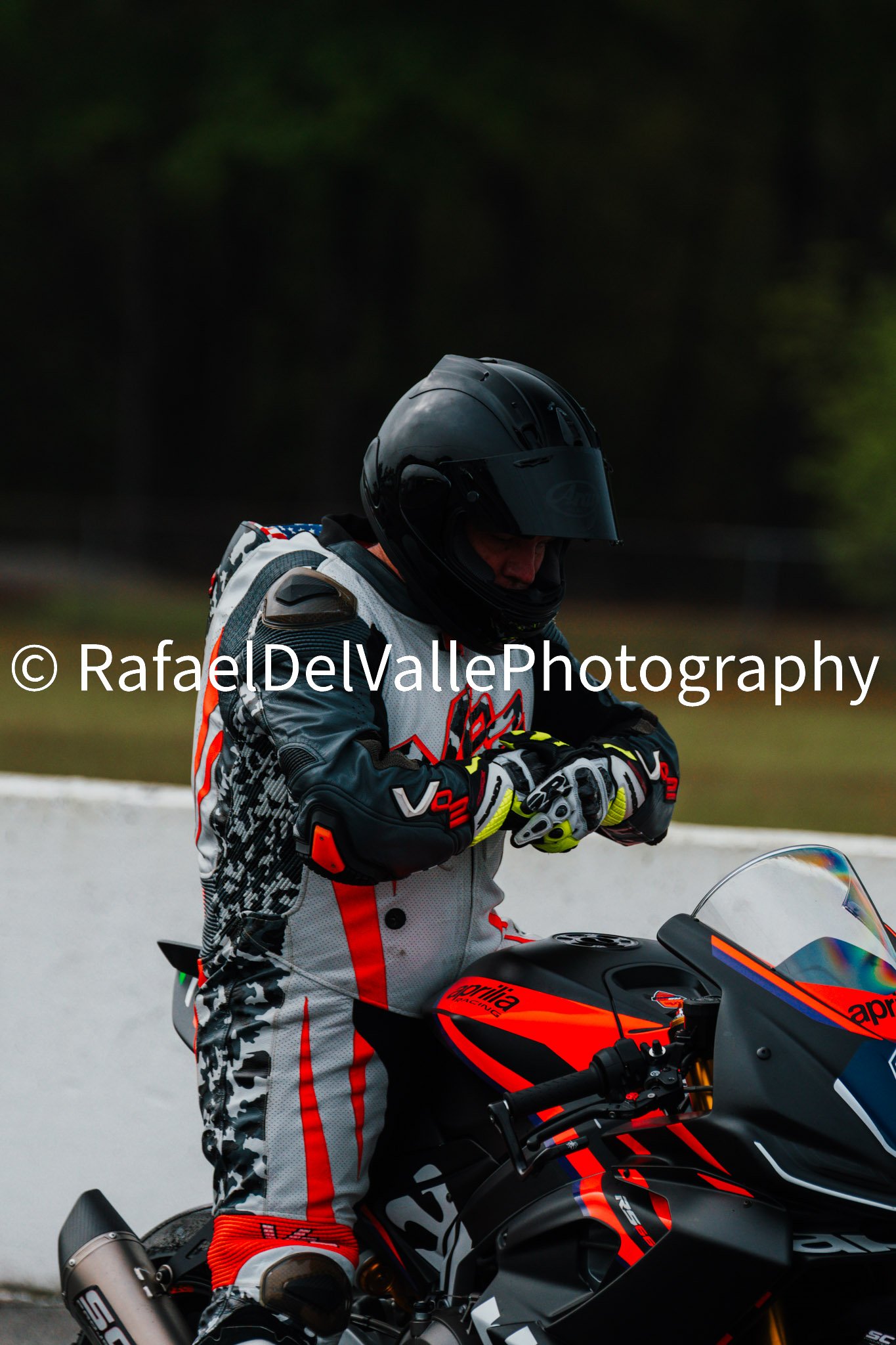 Triumph Track Day 3/31/25 #15