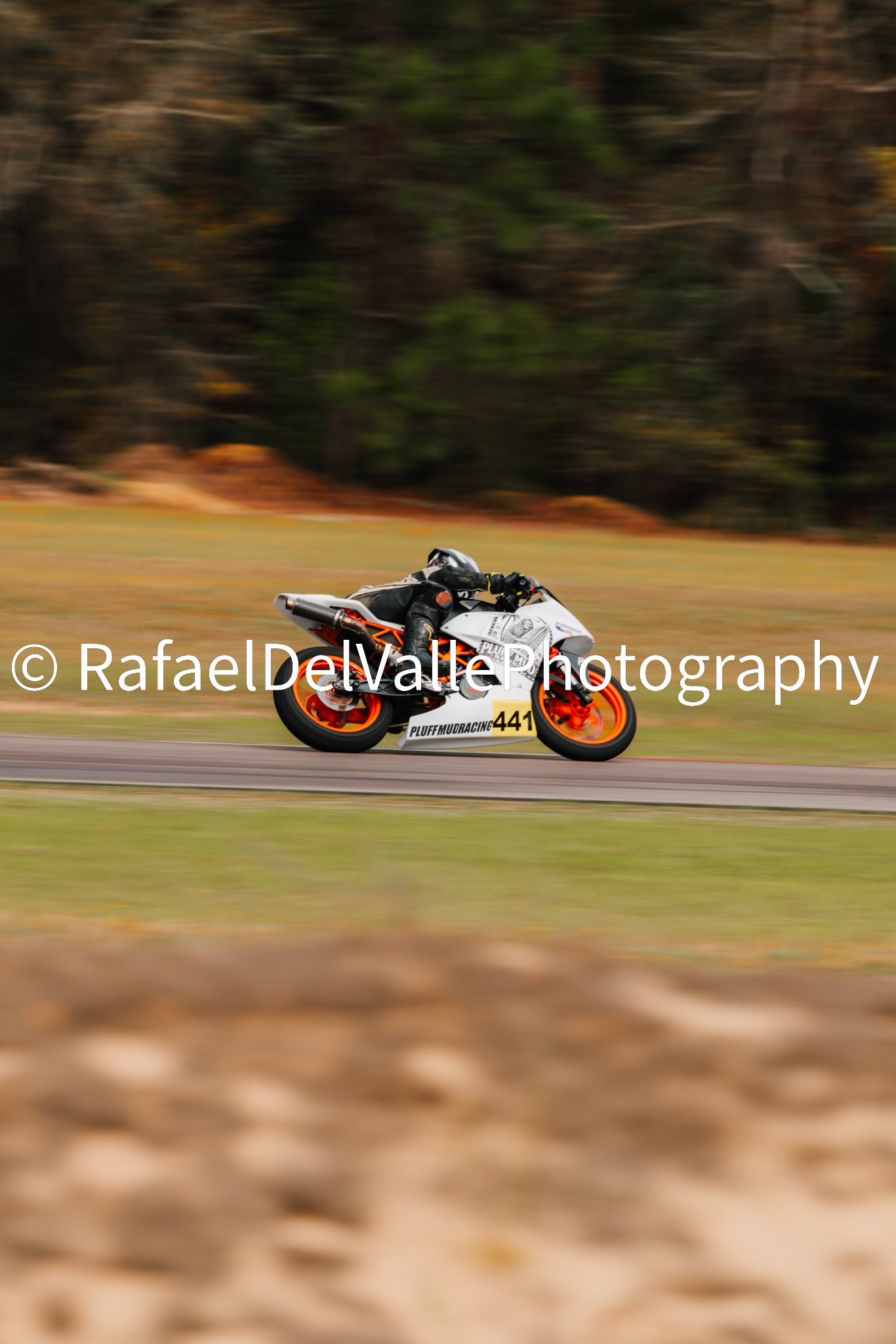 Triumph Track Day 3/31/25 #100