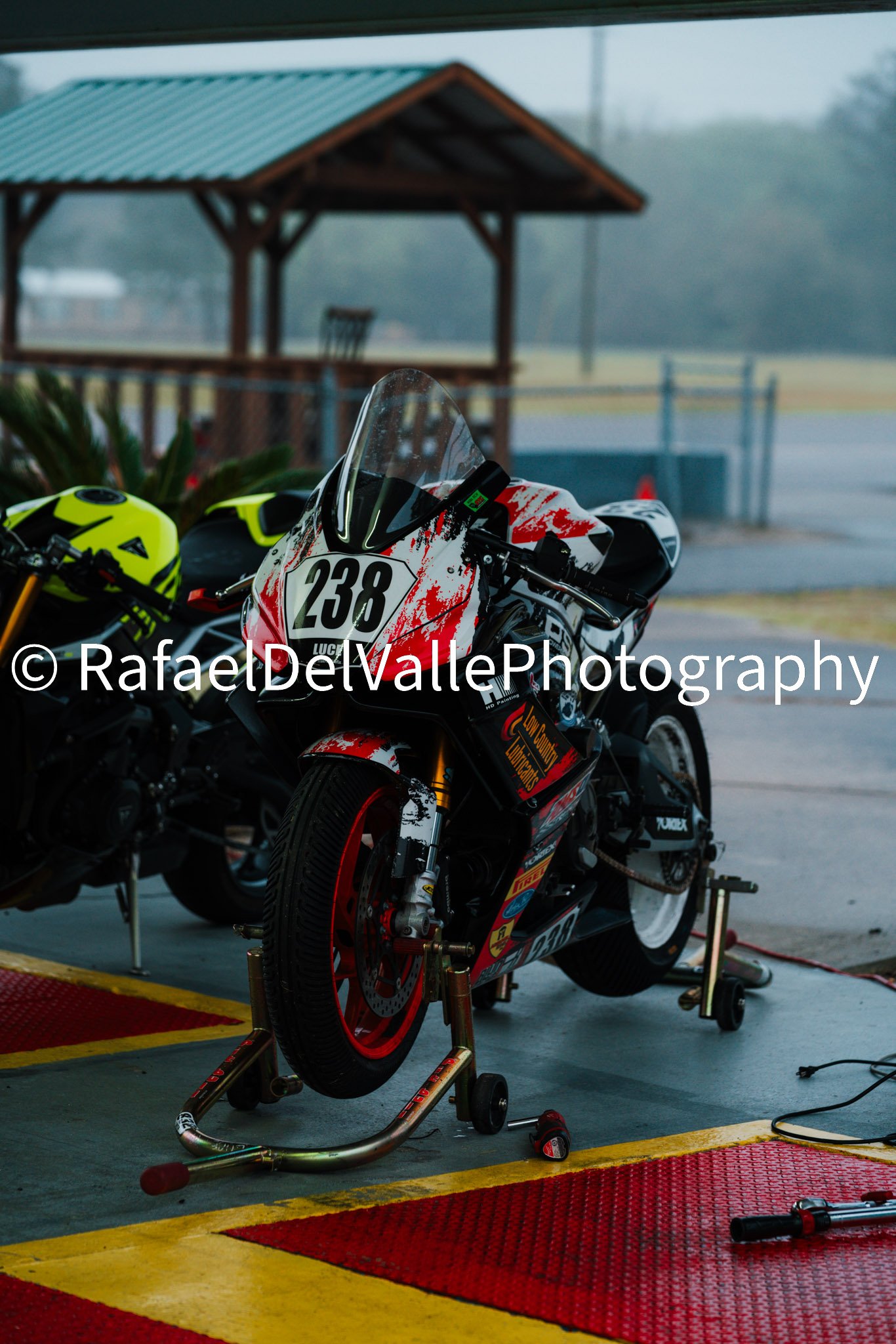 Triumph Track Day 3/31/25 #8