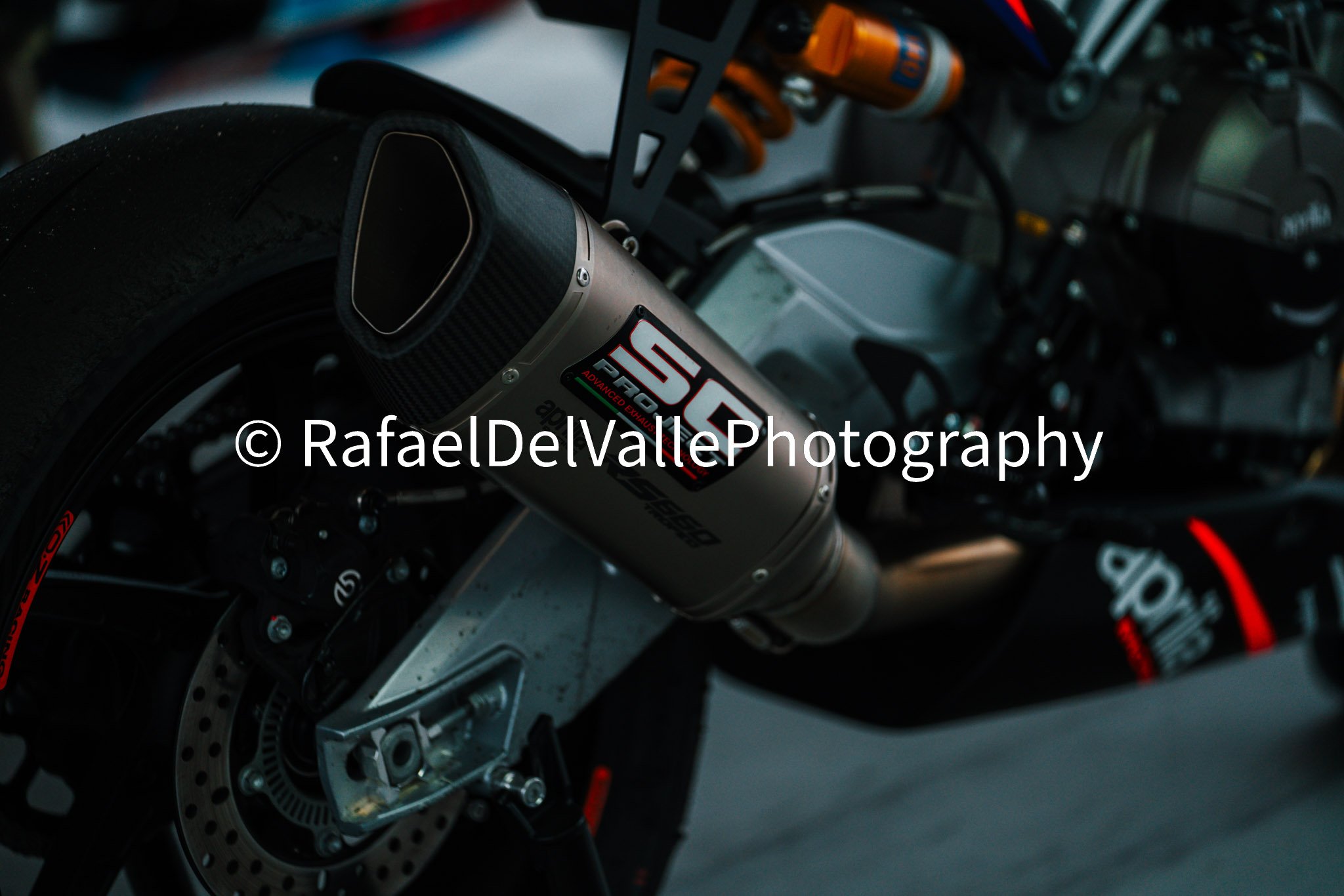 Triumph Track Day 3/31/25 #7