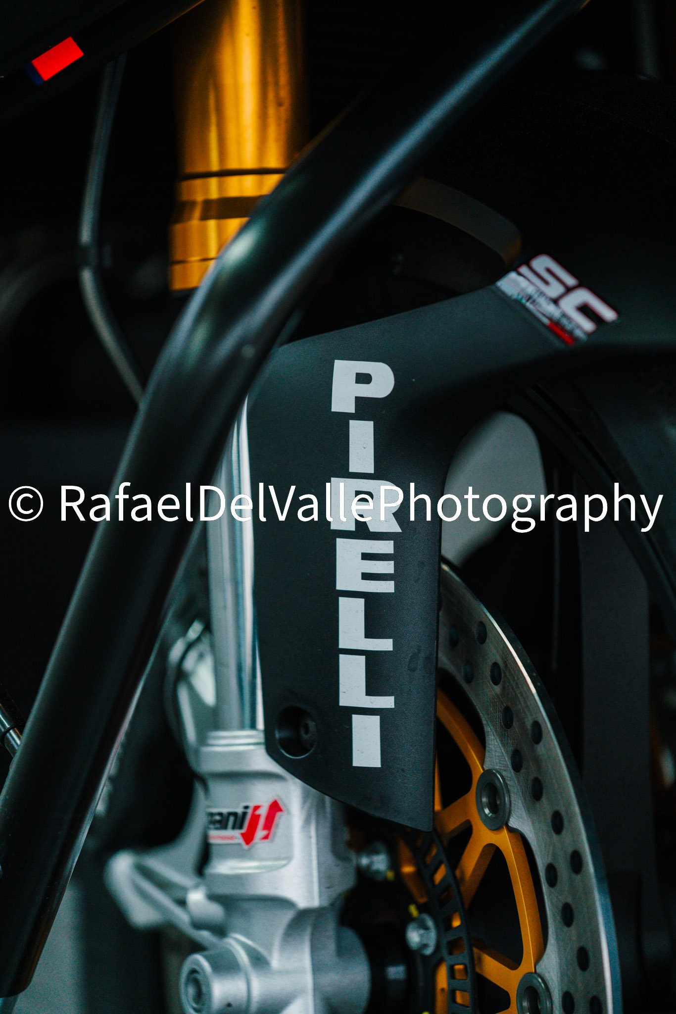 Triumph Track Day 3/31/25 #4