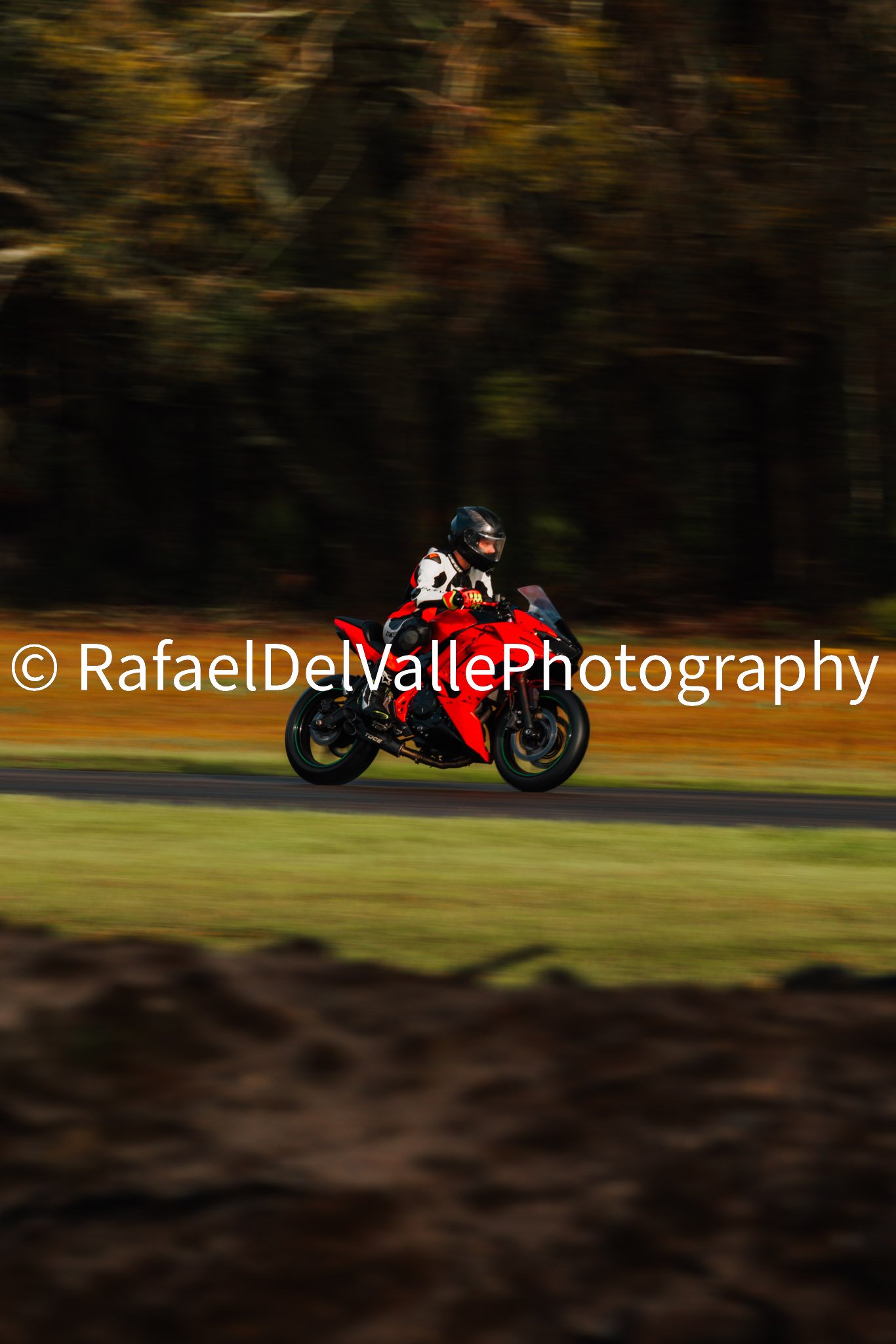 Triumph Track Day 3/31/25 #21