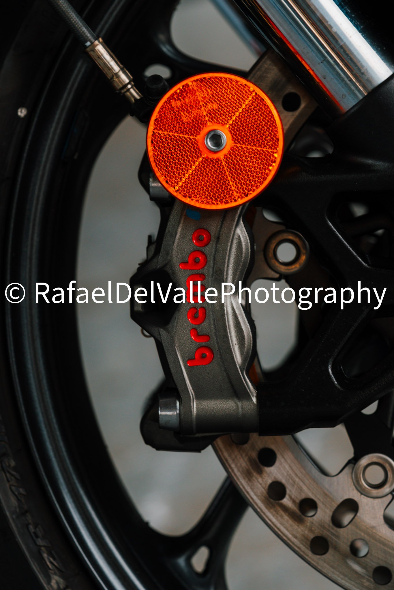 Triumph Track Day 3/31/25 #150