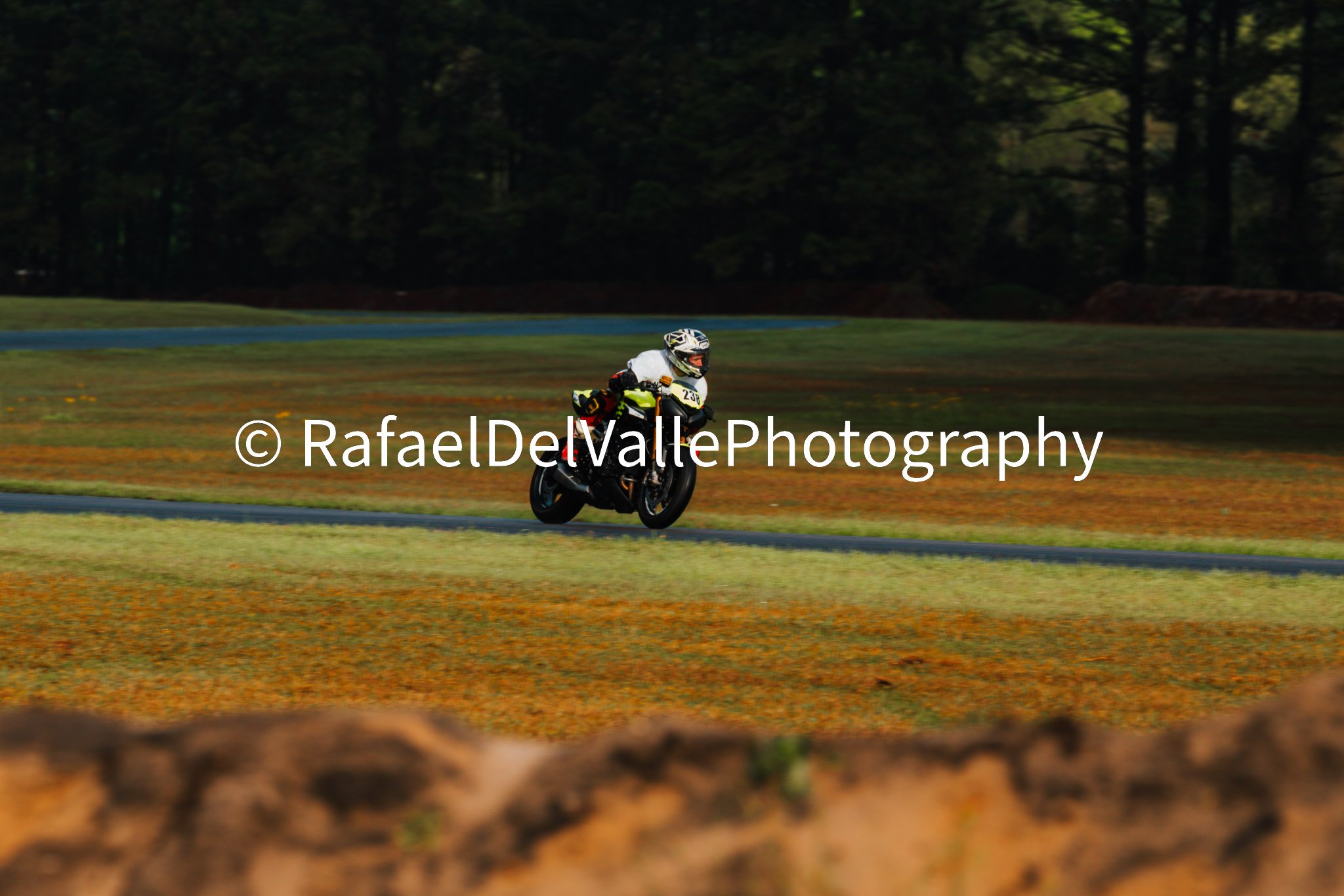 Triumph Track Day 3/31/25 #26