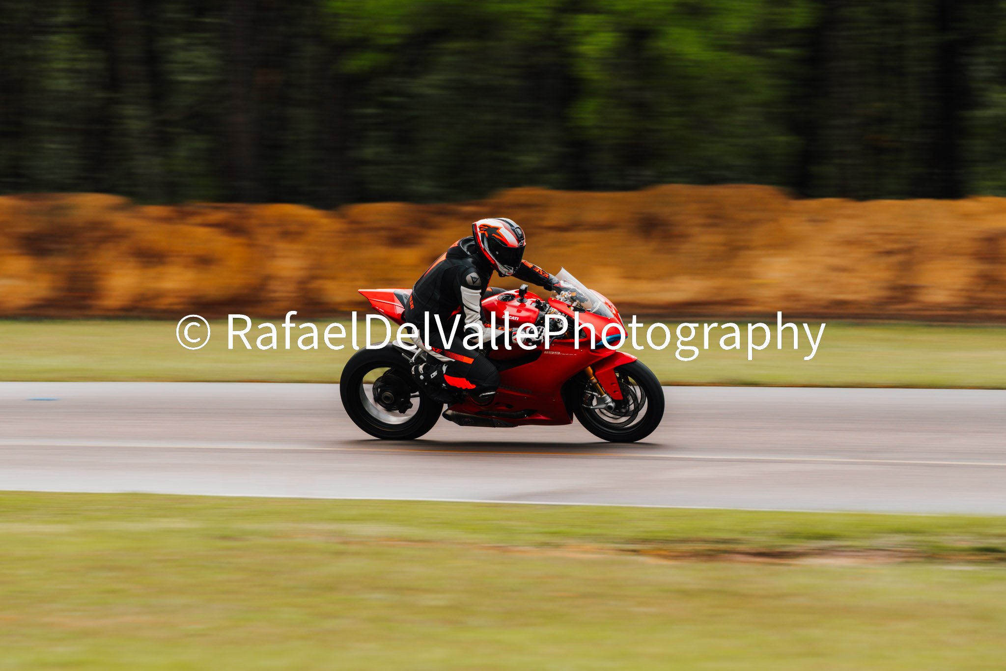 Triumph Track Day 3/31/25 #61