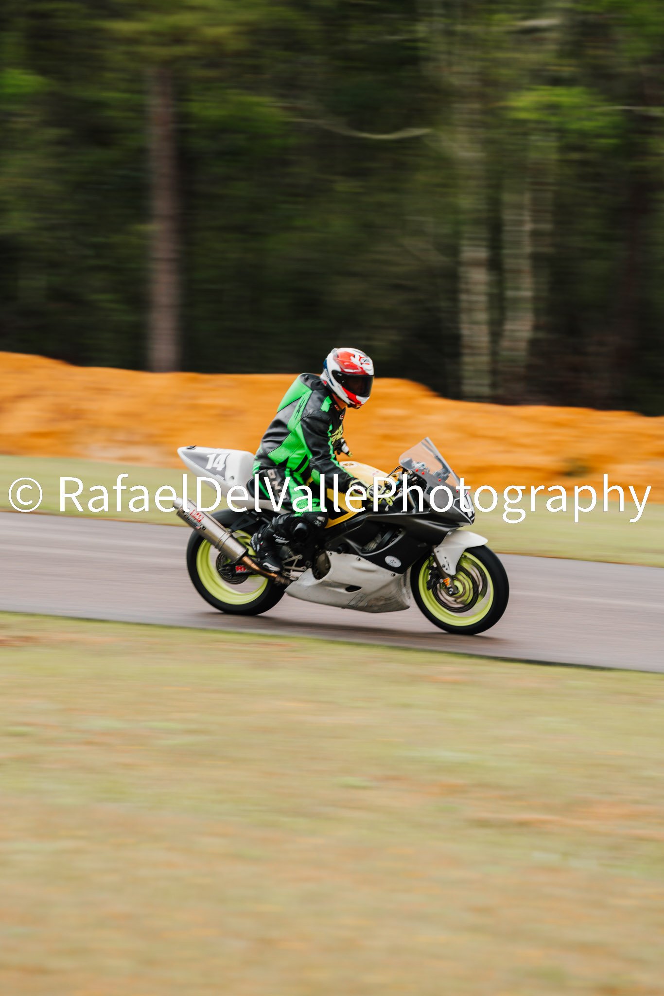 Triumph Track Day 3/31/25 #73