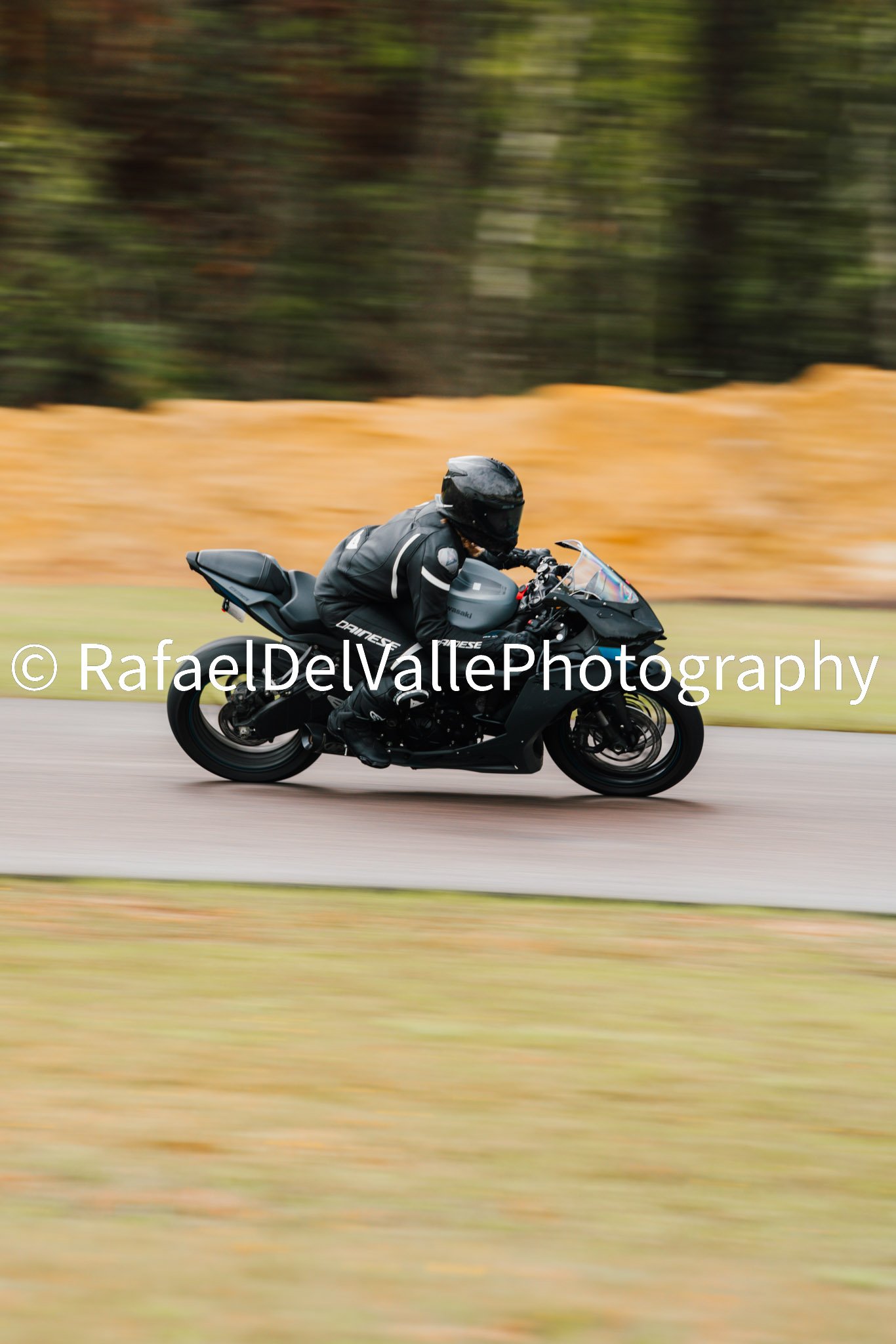Triumph Track Day 3/31/25 #75