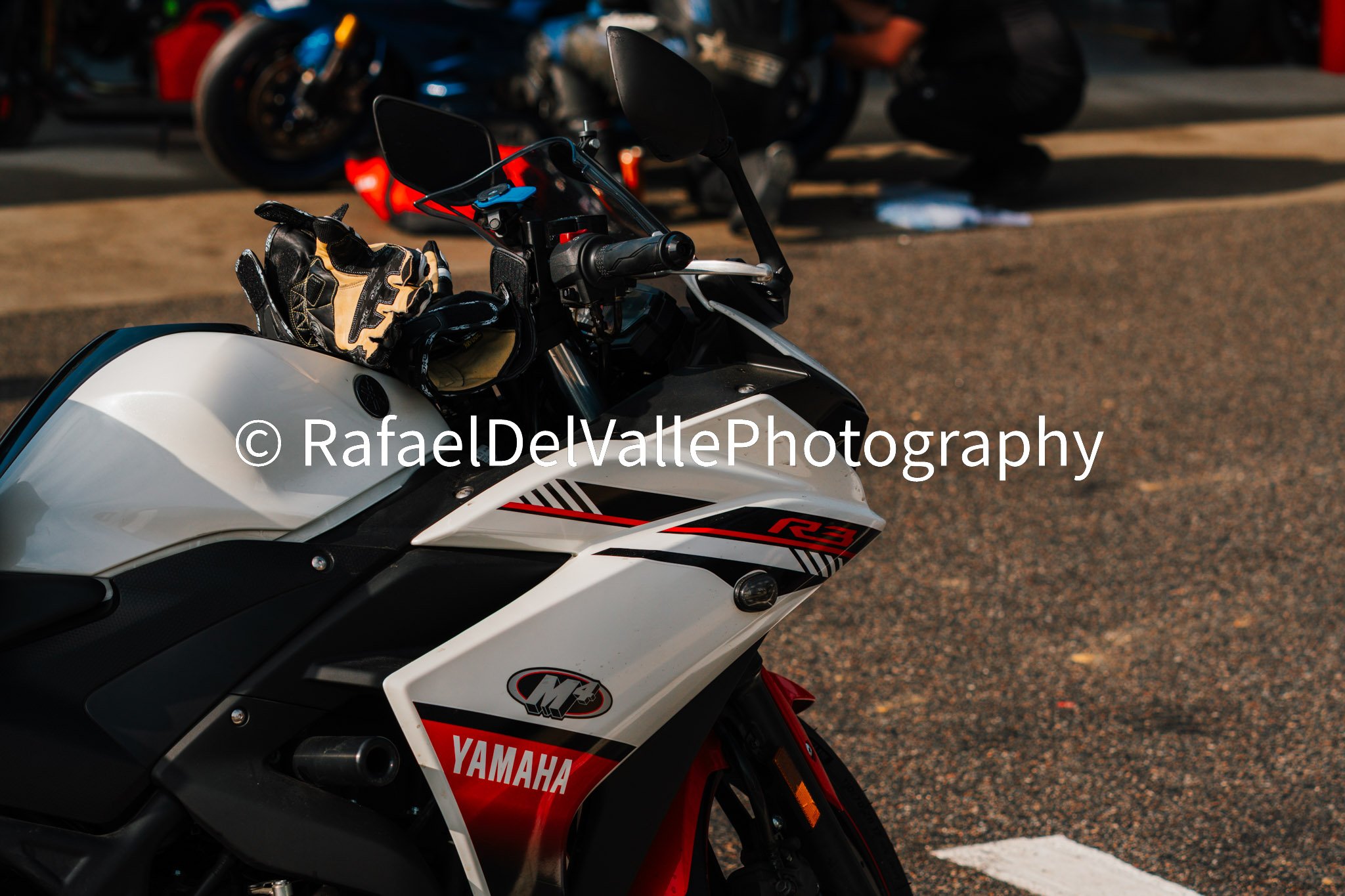 Triumph Track Day 3/31/25 #36
