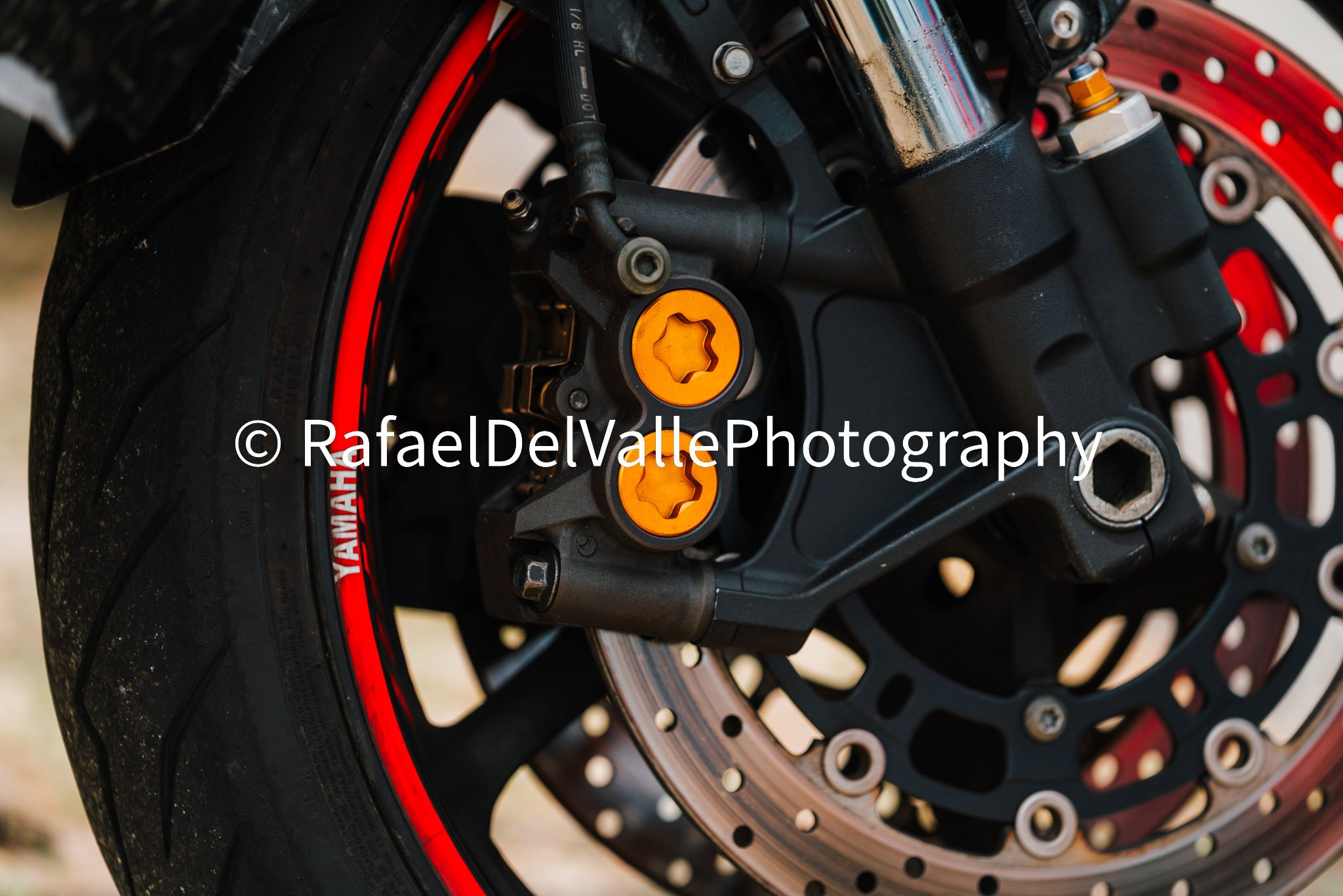 Triumph Track Day 3/31/25 #139