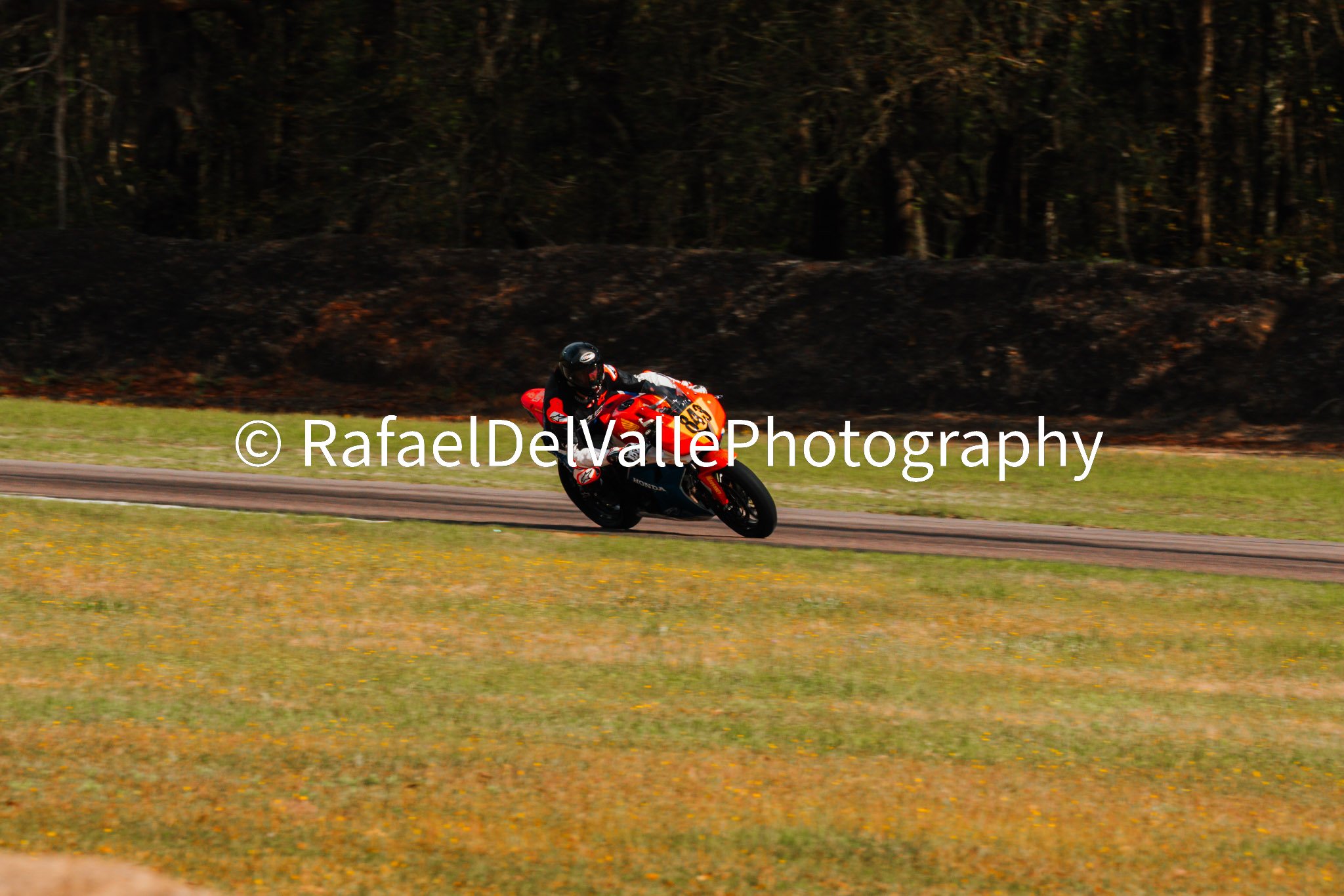 Triumph Track Day 3/31/25 #113
