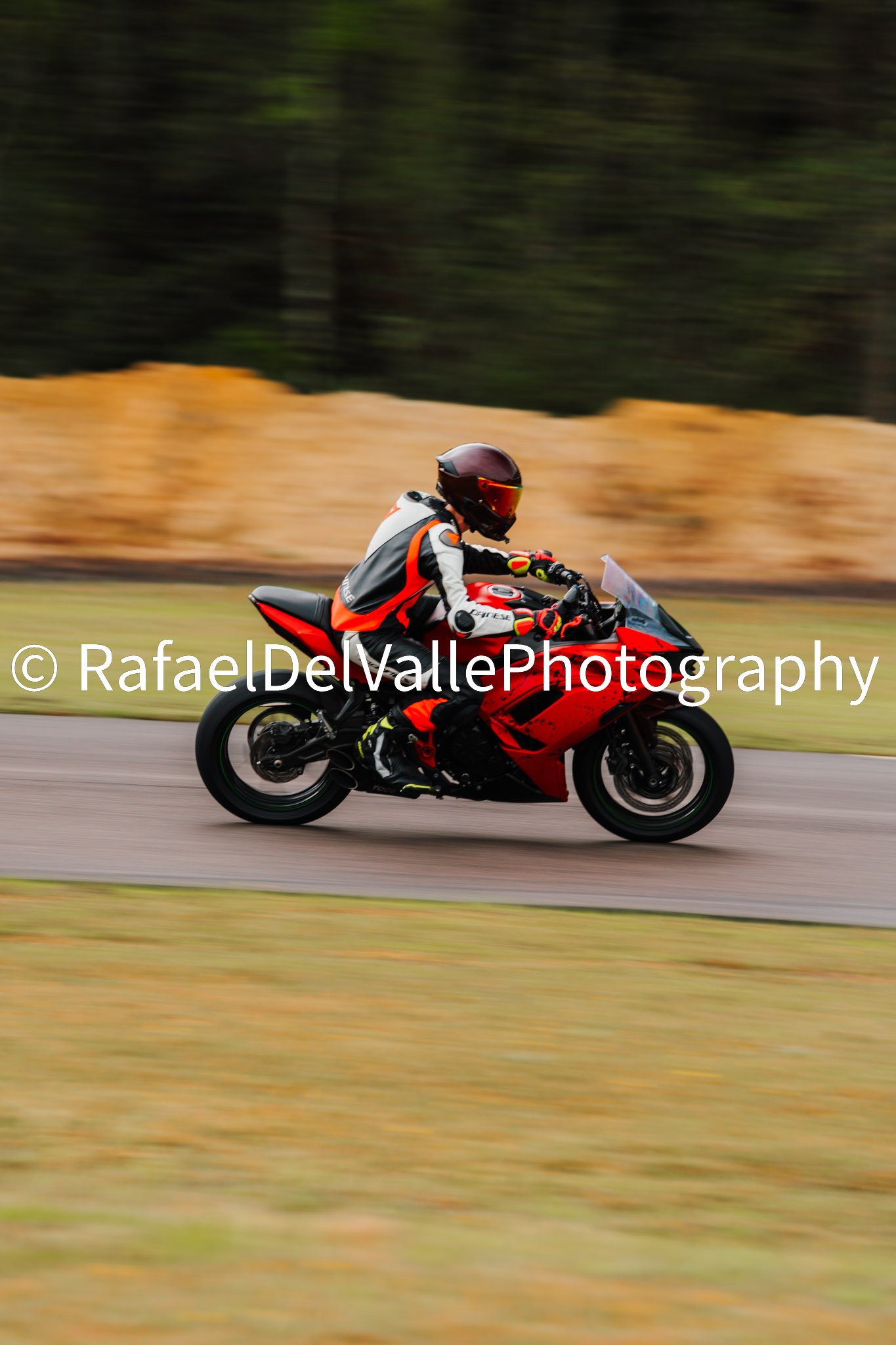 Triumph Track Day 3/31/25 #71