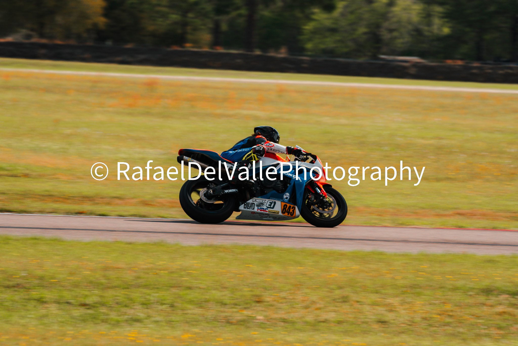 Triumph Track Day 3/31/25 #115