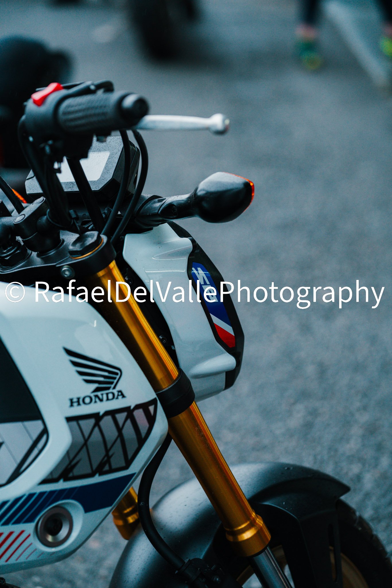 Triumph Track Day 3/31/25 #9