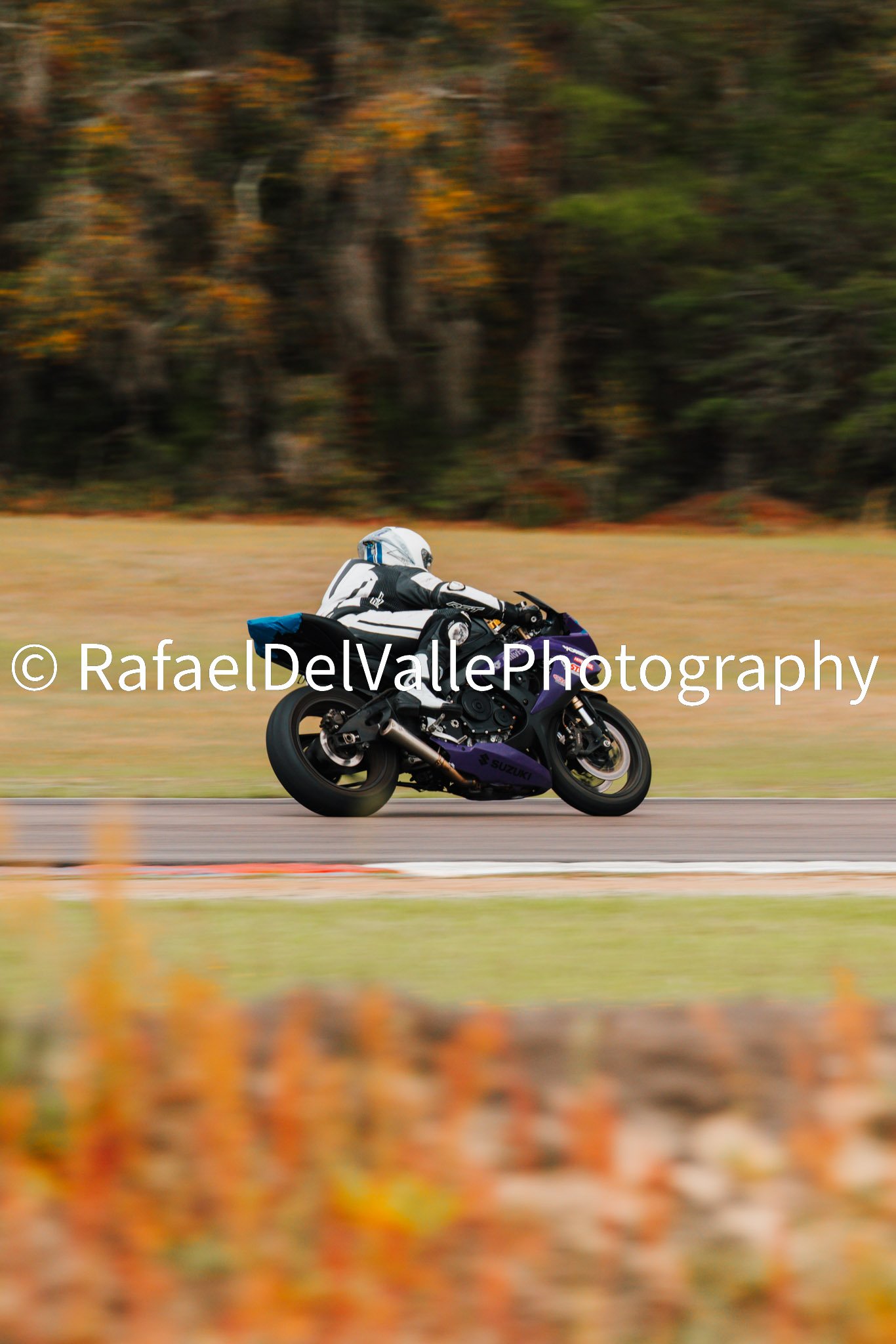 Triumph Track Day 3/31/25 #95