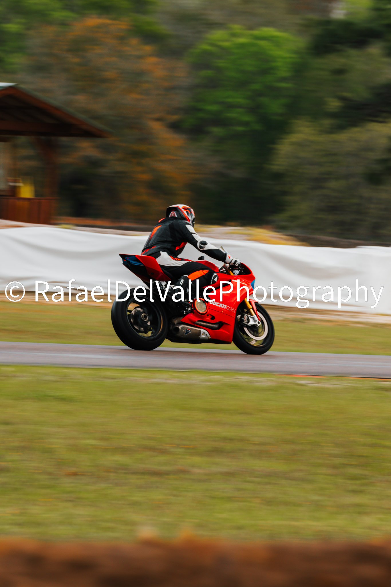 Triumph Track Day 3/31/25 #54