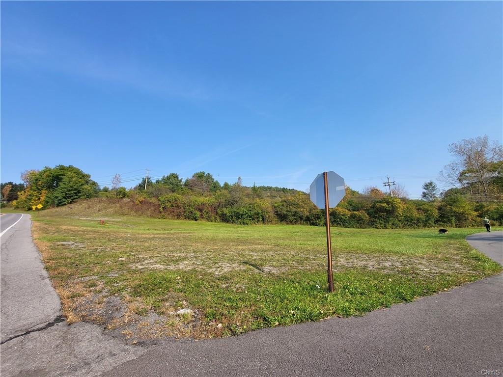 Open grassy field at a road intersection with a stop sign on a pole and trees in the background under a clear blue sky.