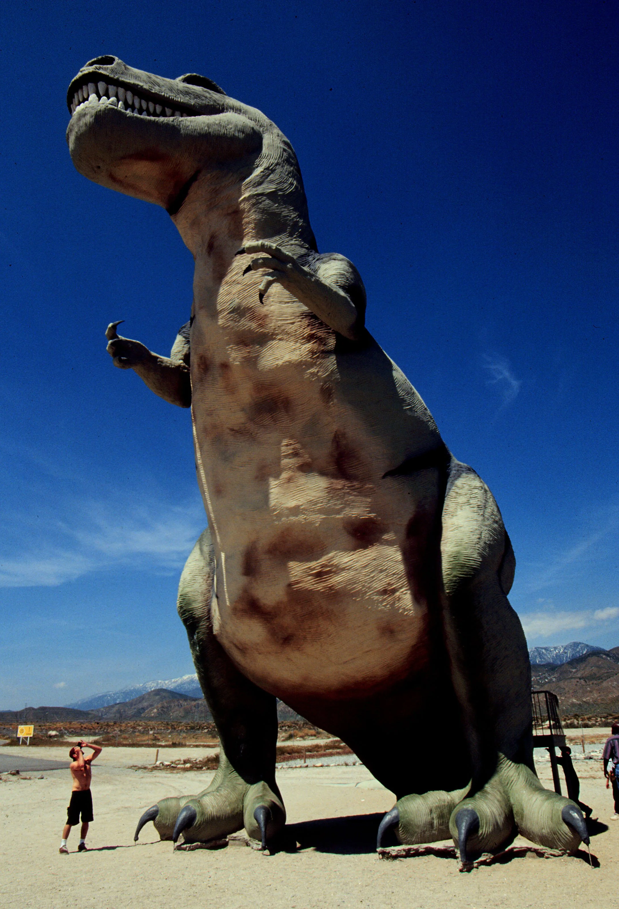 dinosaur.jpg