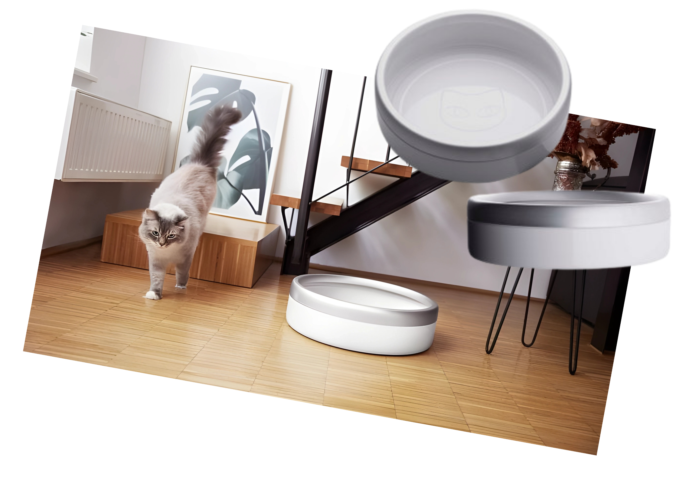 A gray and white cat walking on a wooden floor in a modern interior space with abstract wall art, a staircase, and a white pet bowl with a black lid.