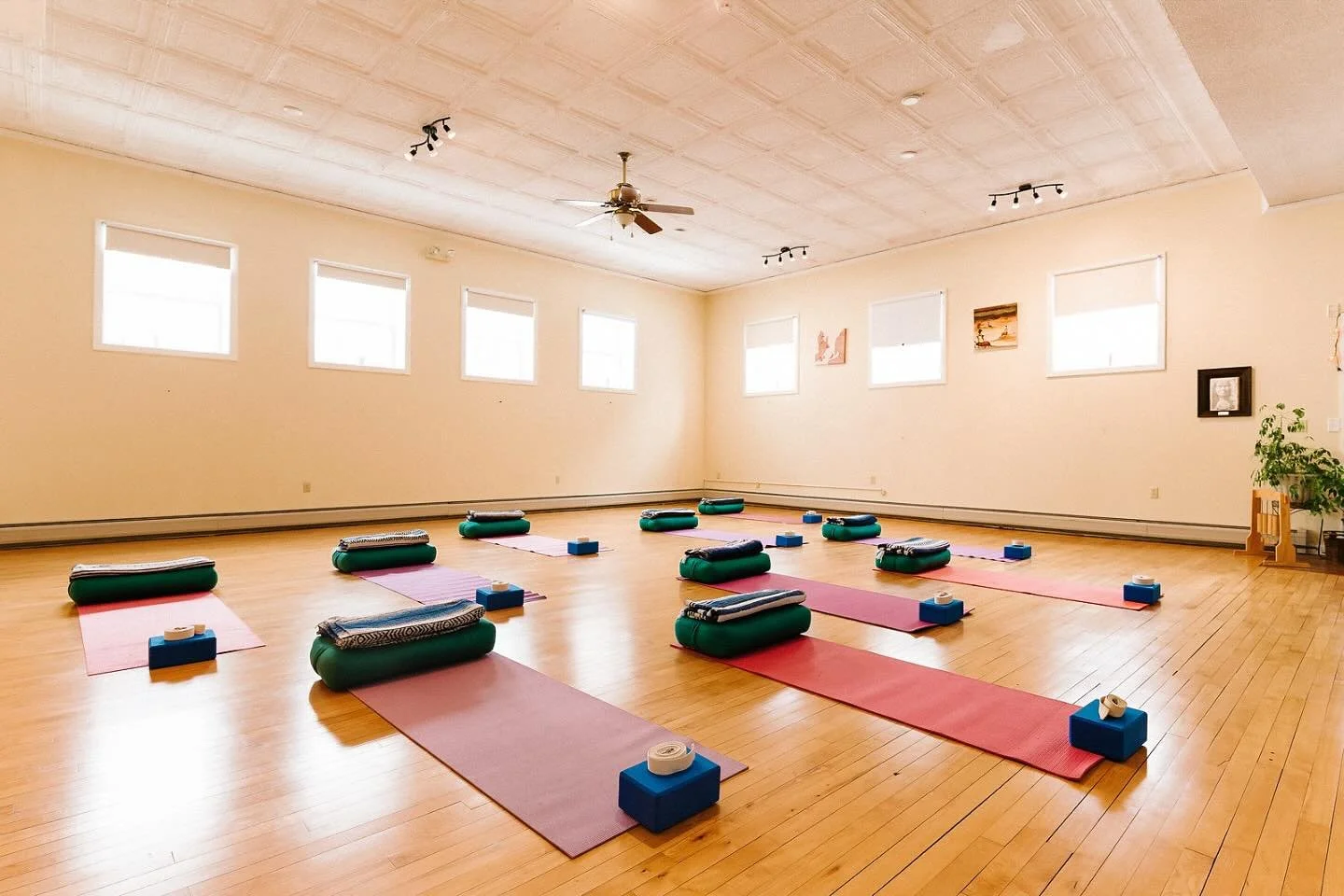 REMINDER that our weekly schedule is full of beautiful ways to move, breathe, and restore with us at Anahata:
🧘‍♀️ Wednesdays 10am – Hatha Yoga with Jala
🌙 Wednesdays 6:30pm – Restore & Sound Bath with Ann
🌊 Thursdays 6:30pm &