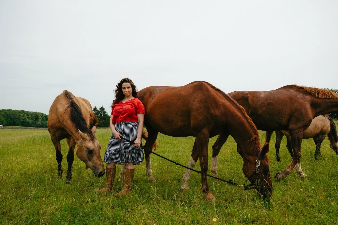 choose your fighter 

#deepend #indiemusic #singersongwriter #hamont