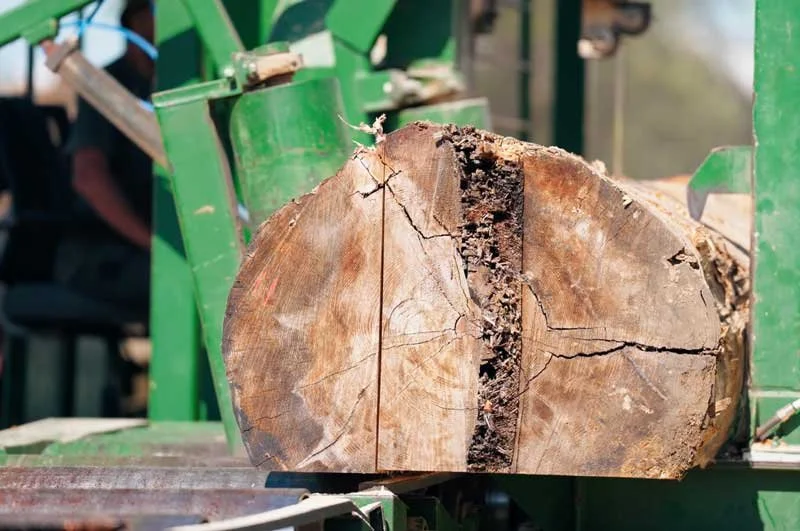 Close-up of a large cut log of wood precision cut lumber for job site support