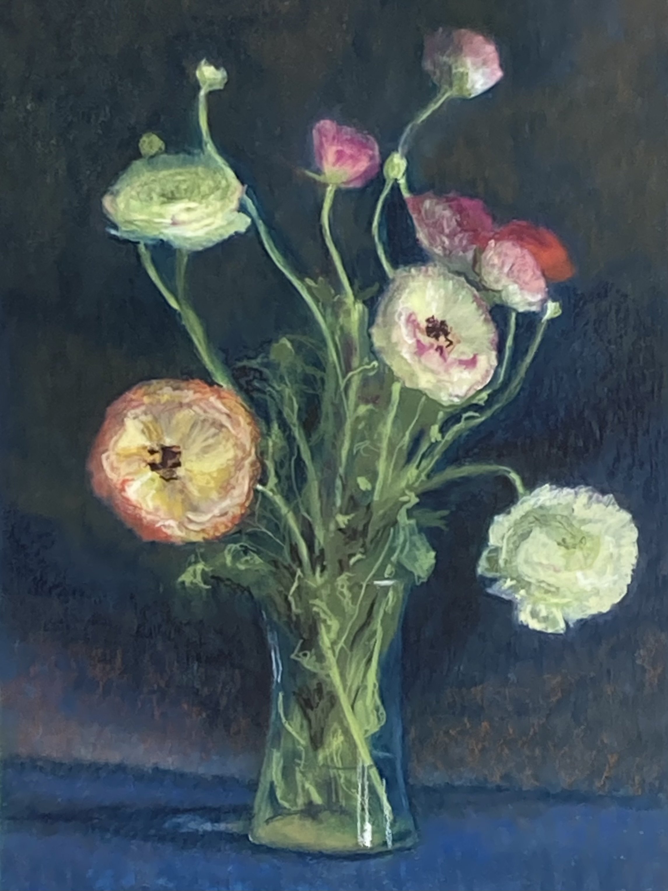 Ranunculus, oil pastel on paper--SOLD