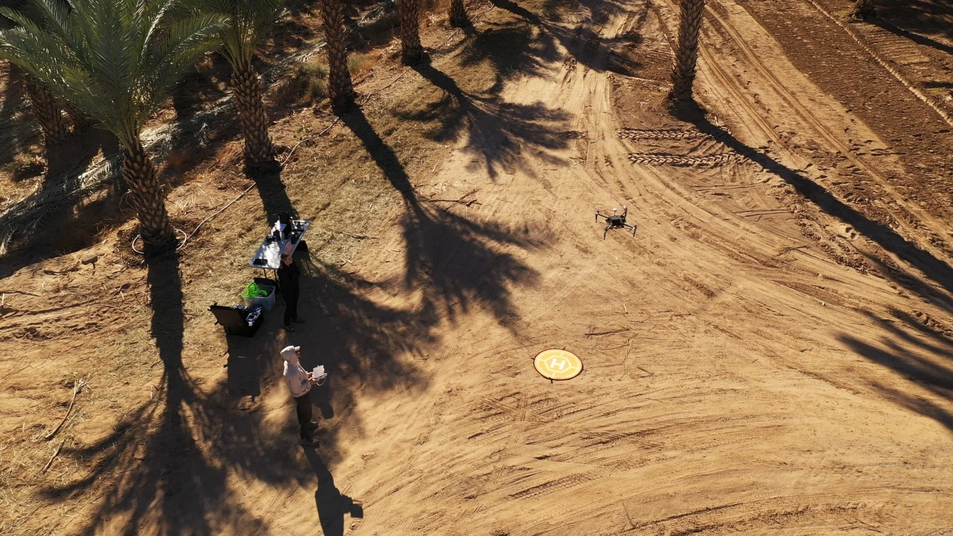 Drone operators conducting an aerial field operation among palm trees in Southern California.