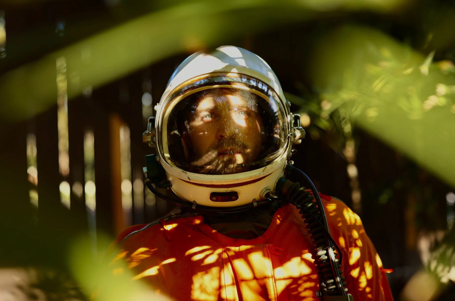 Panpsychist Is Juno Empire’s Latest Celebration of Life and Consciousness