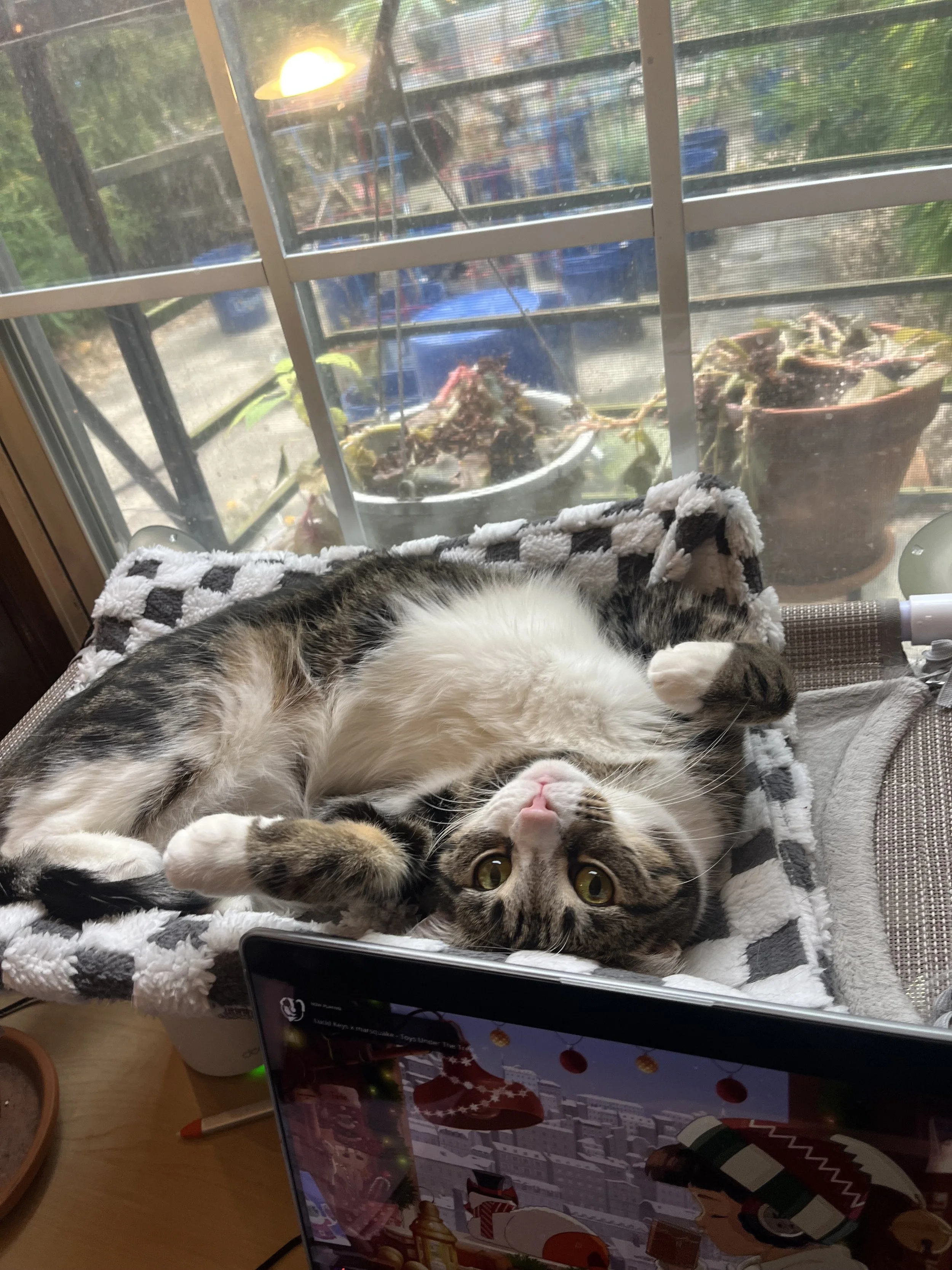 An impassioned argument for training