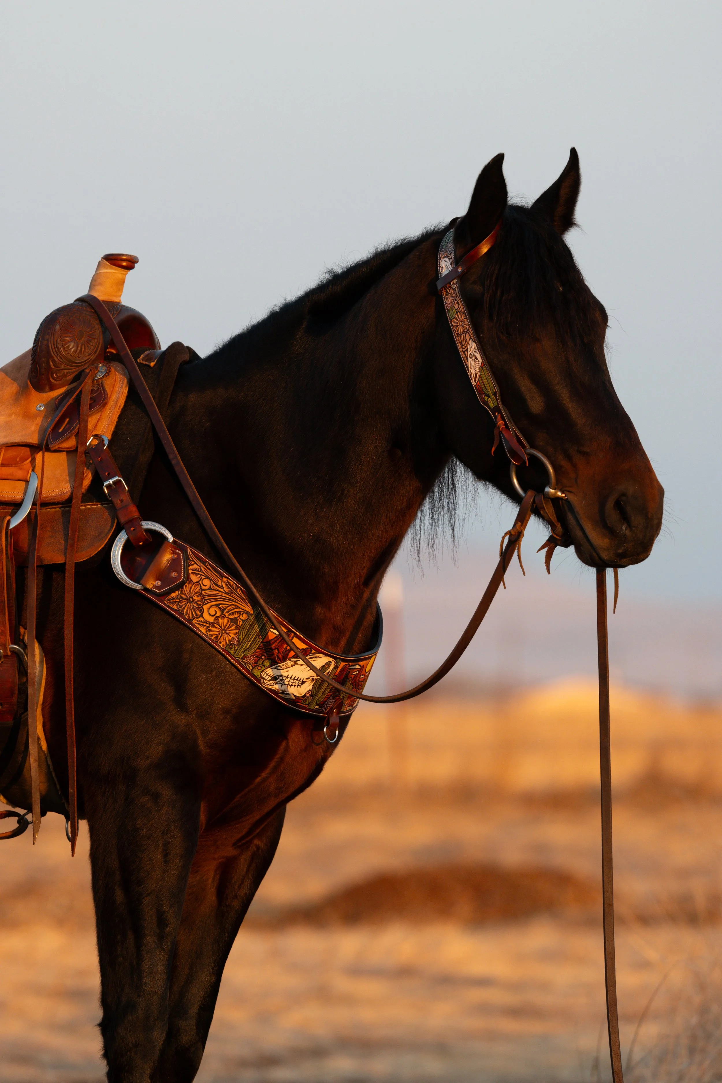 Tack / Ranch Gear (Click to View)