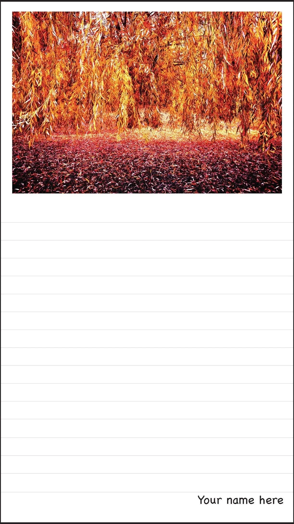 Crop+Template+Willowing+w+frame.jpg