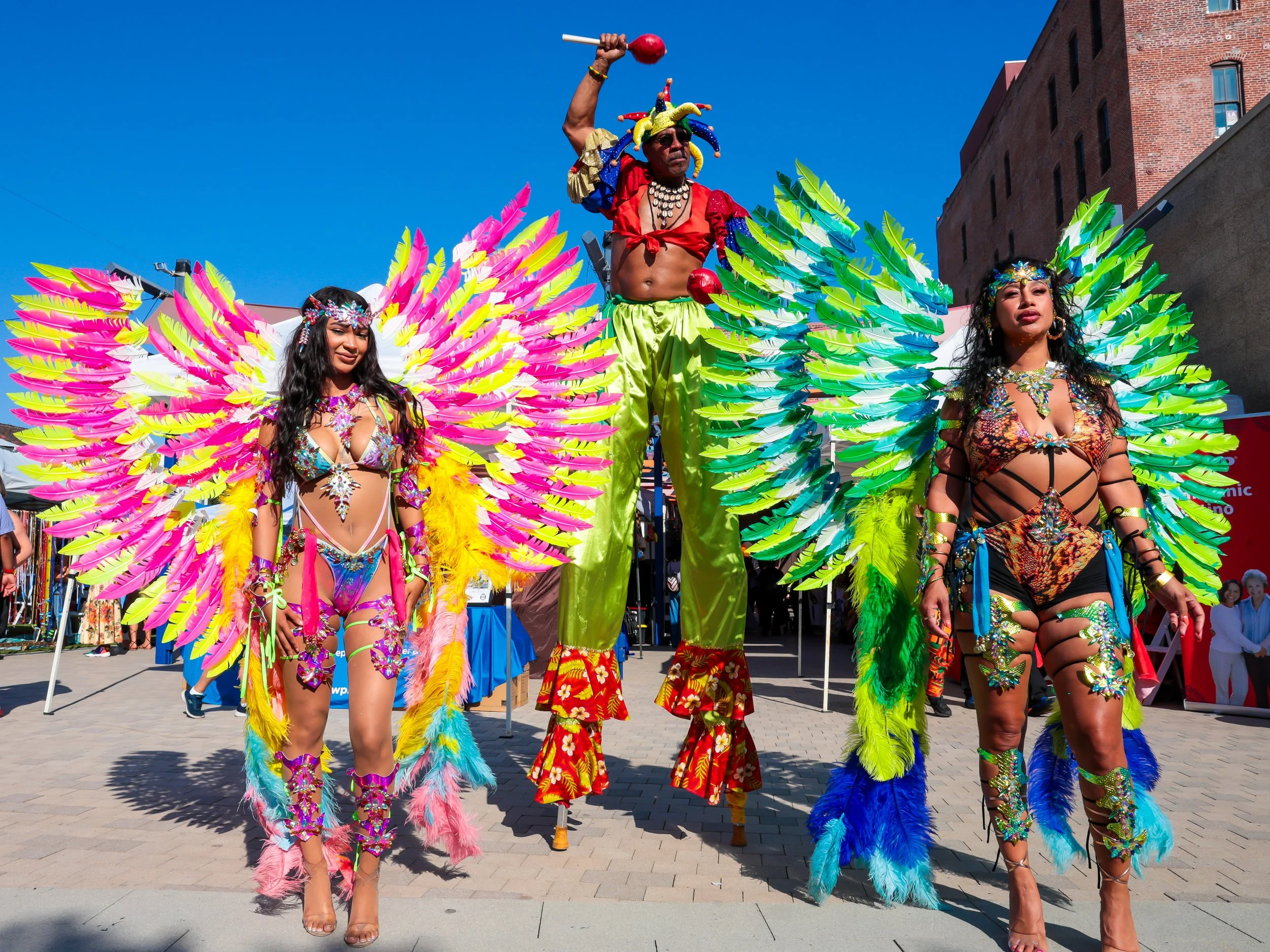 Afro Latino Culture Fest - 2026