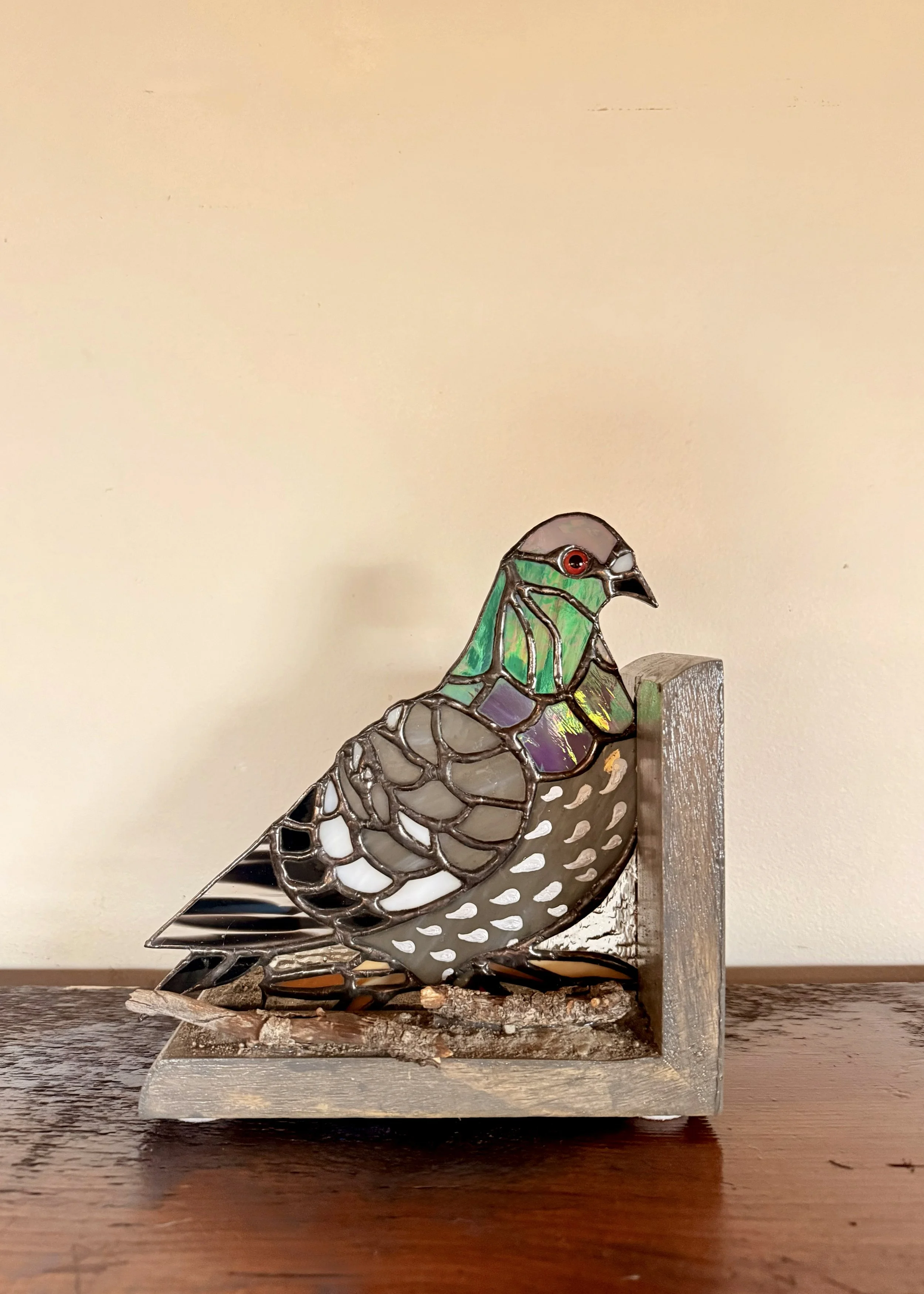 Pigeon on Spectacular Nest- PLEASE READ DESCRIPTION