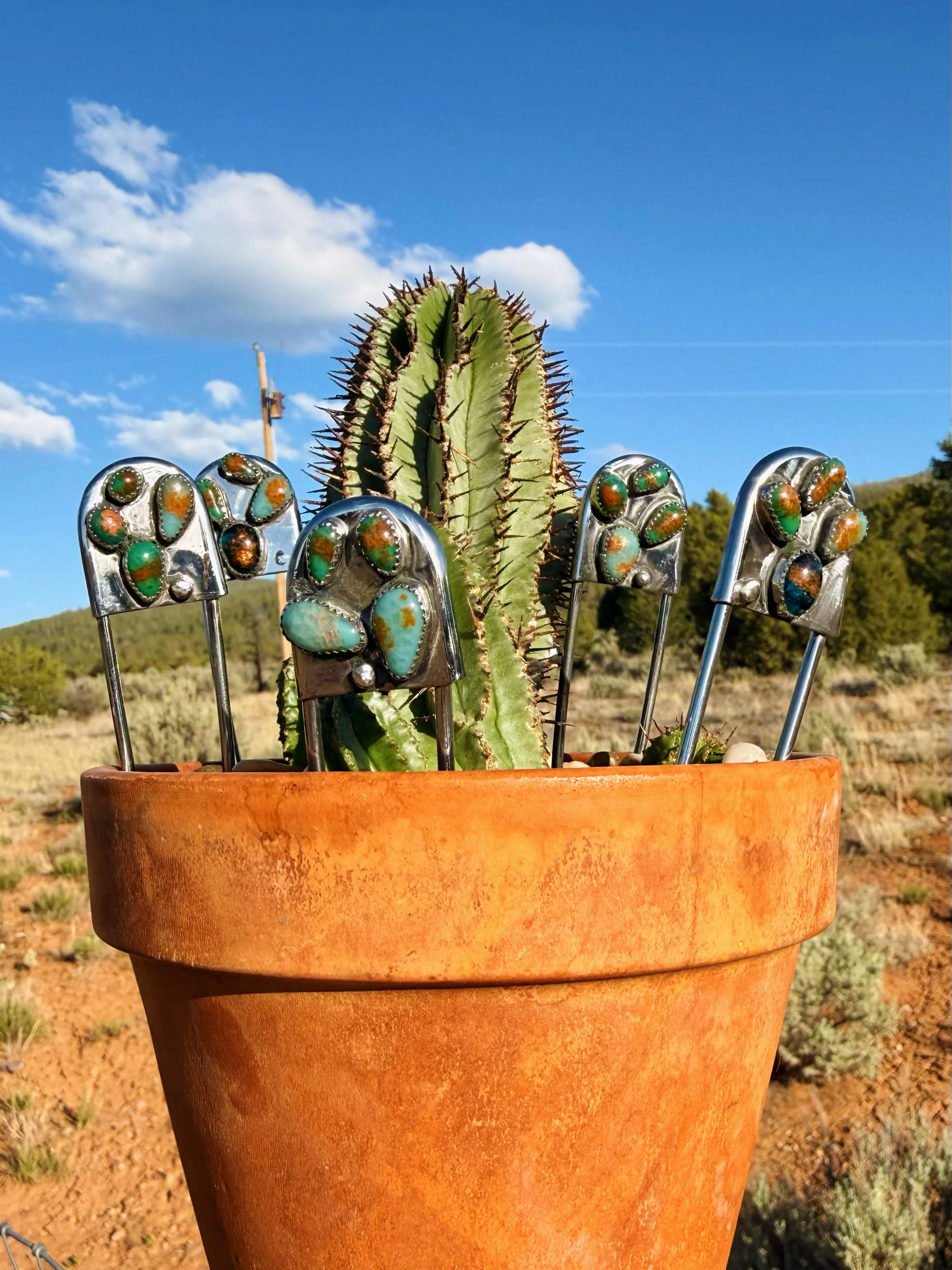 Cactus Collection Pins