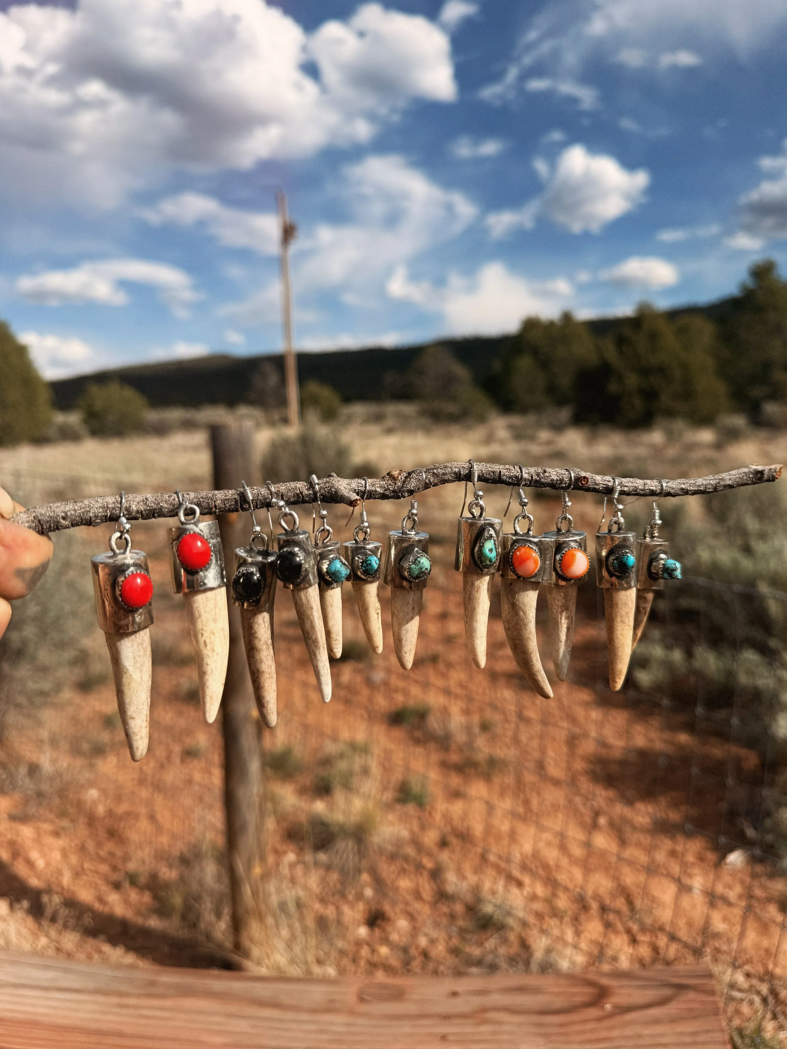 IMG_5958_Afterlight.JPG (Copy) (Copy)