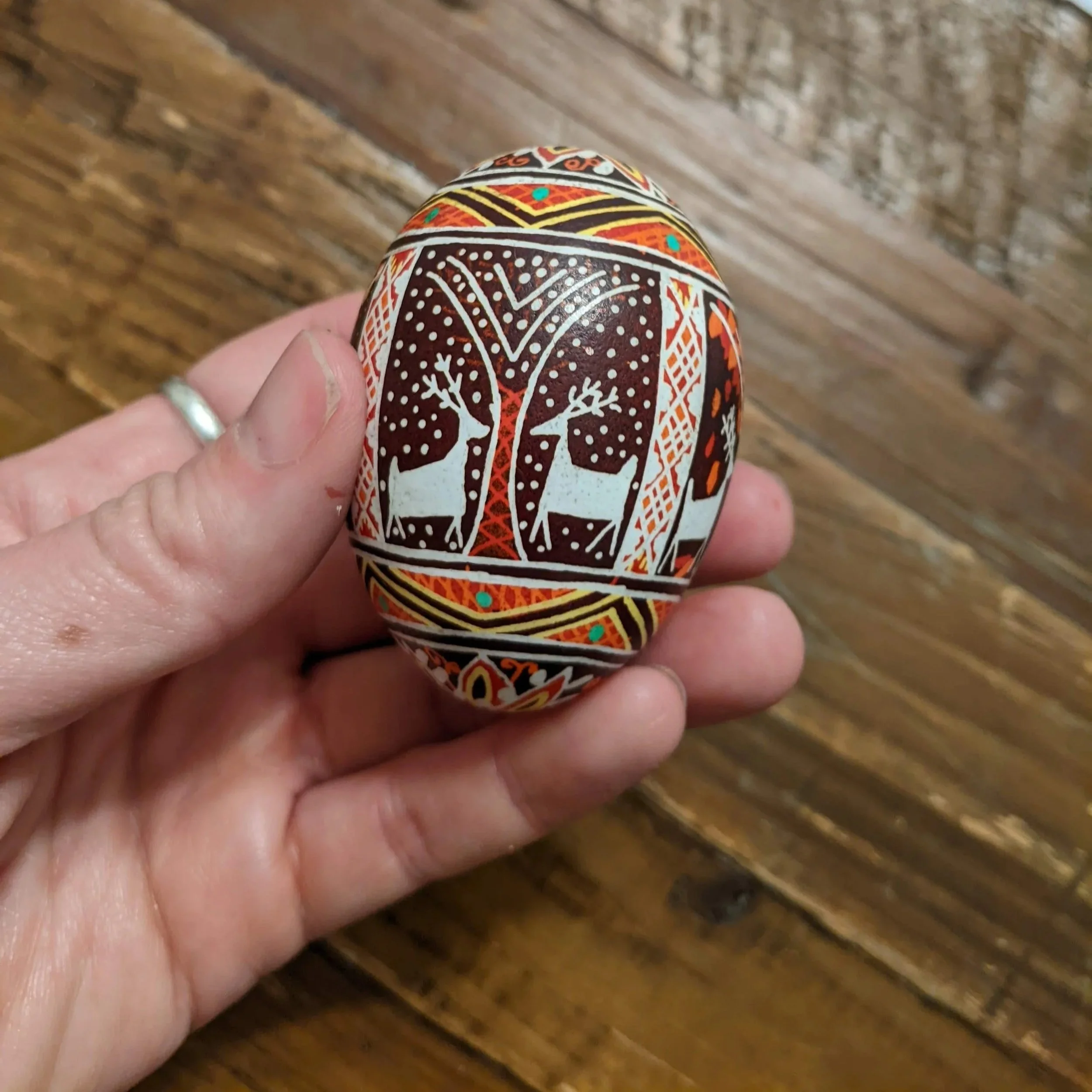 PXL_20220502_074257414.jpg
