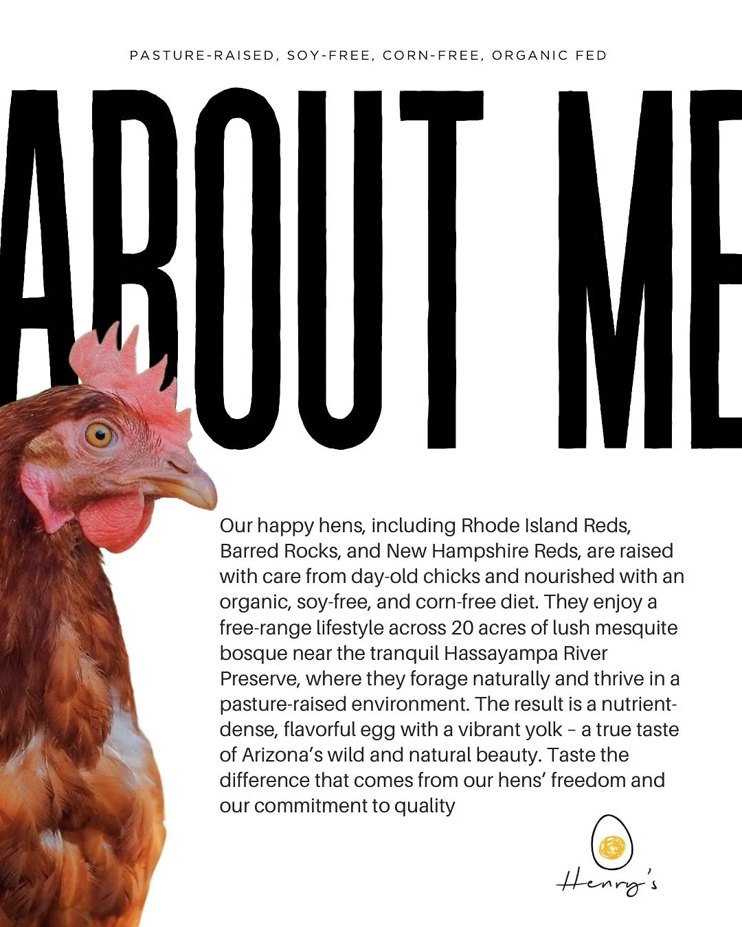 Swipe ➡️ to meet our hens and their pasture-raised life. Henry&rsquo;s Egg Farm is family owned and operated. We specialize in Pasture-Raised, Organic Eggs. Our Arizona farm is situated on an approximately 20-acre ranch in Morristown. We raise chicke