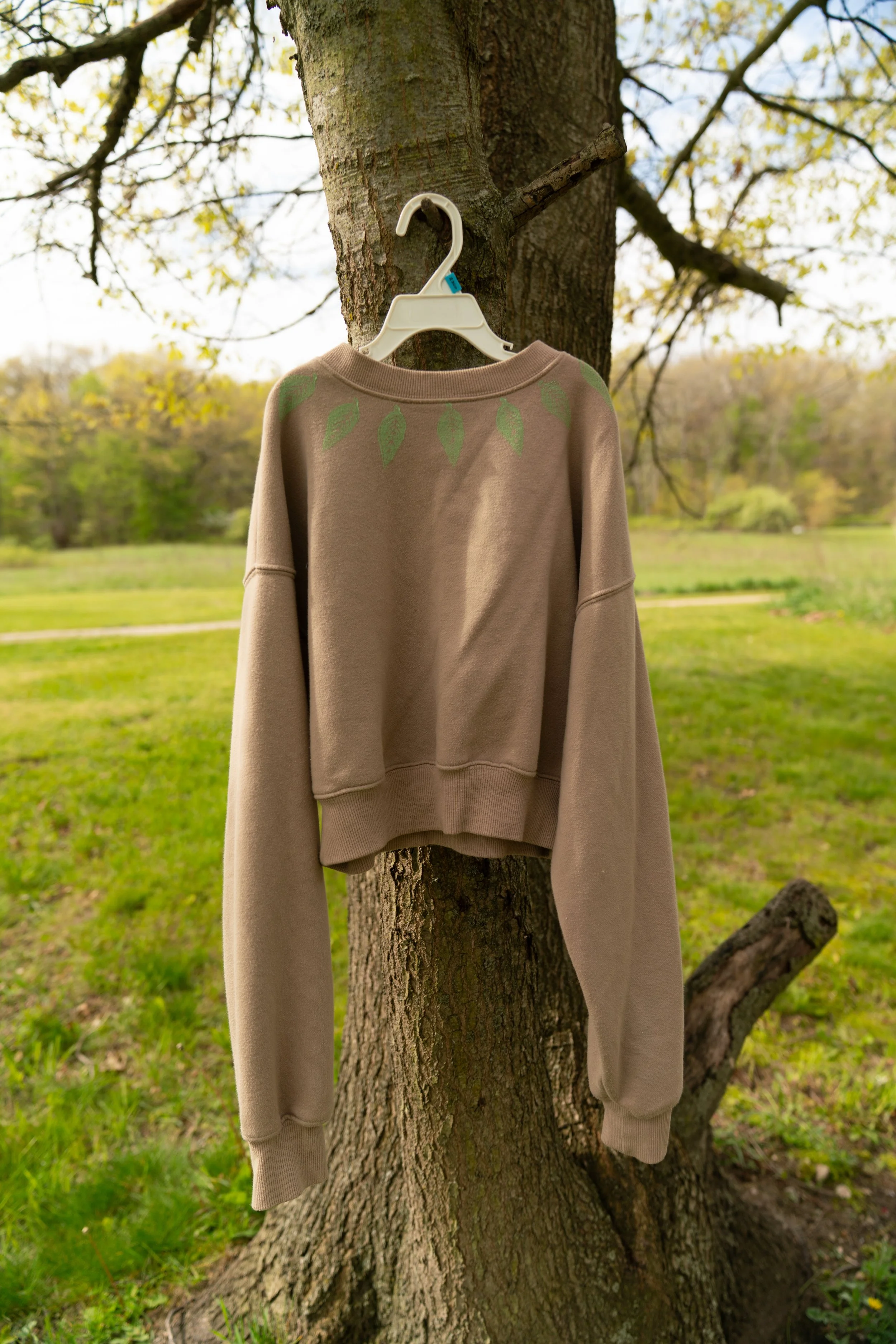 Leaf Collar Cropped Crewneck (XS)