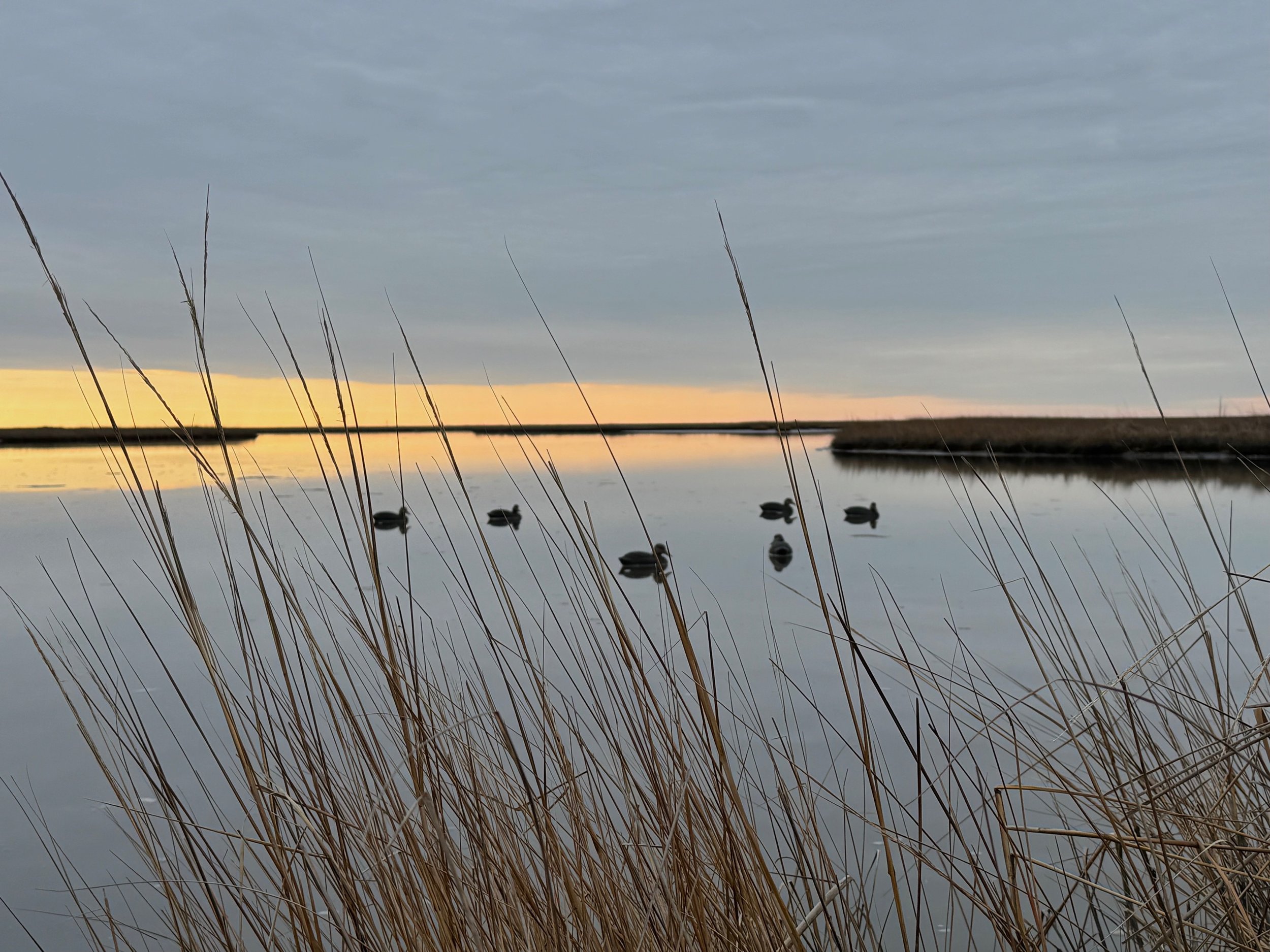 decoy rig in morning light
