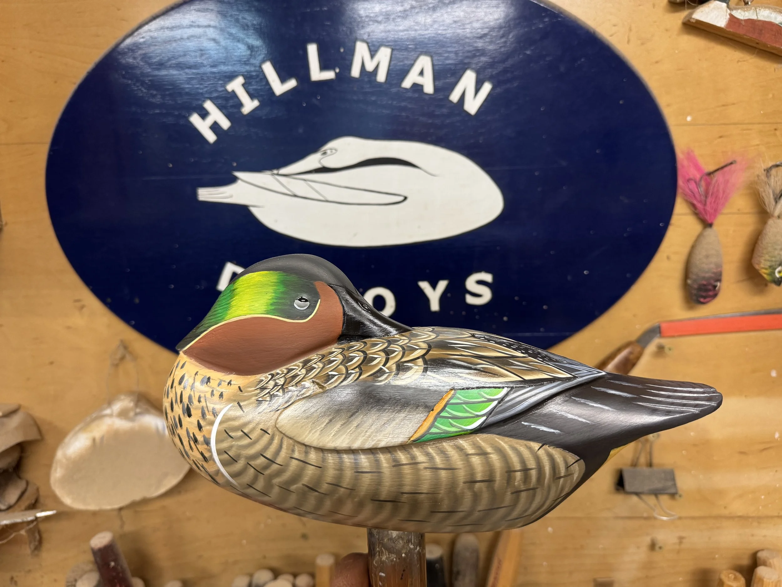 Sleeping drake paint details