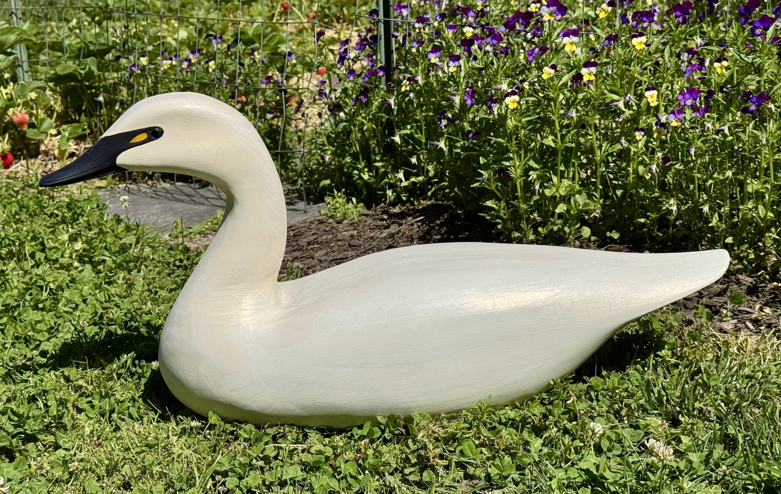 Clark Madara Style gunning Swan