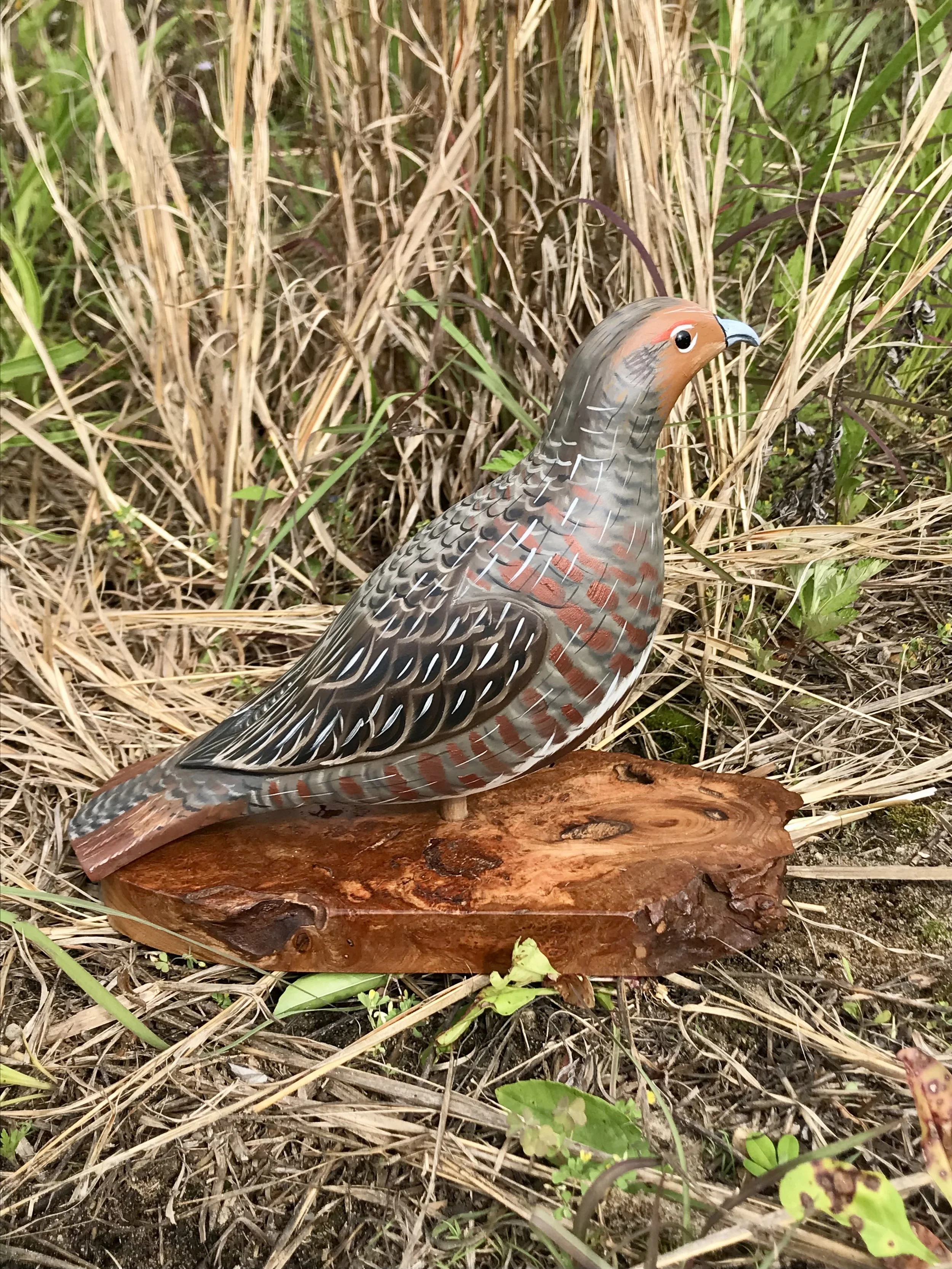 Hungarian Partridge carving - looking right