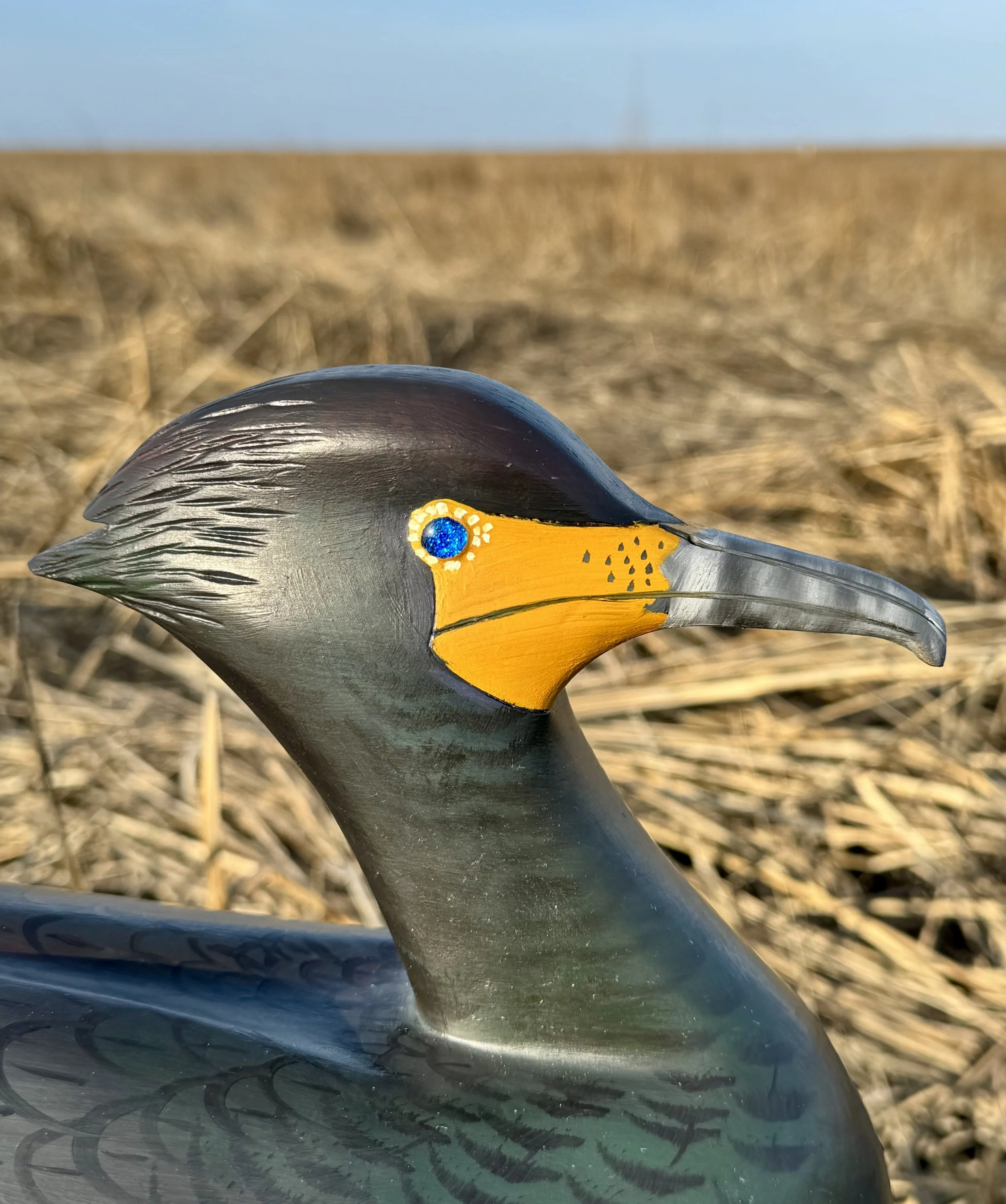 Double Crested Cormorant Head detail. Note handmade glass eyes.