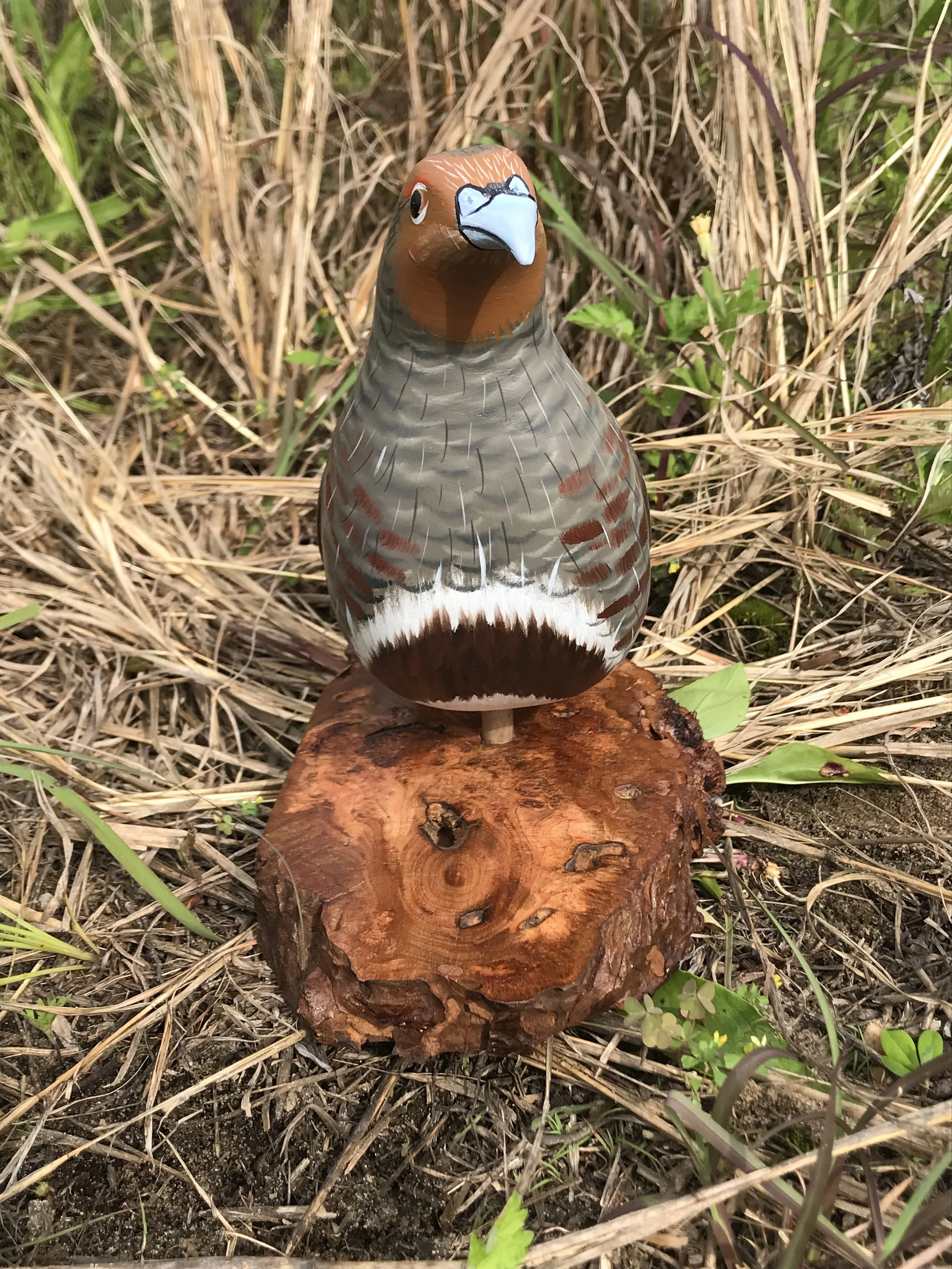 Hungarian Partridge carving - front view