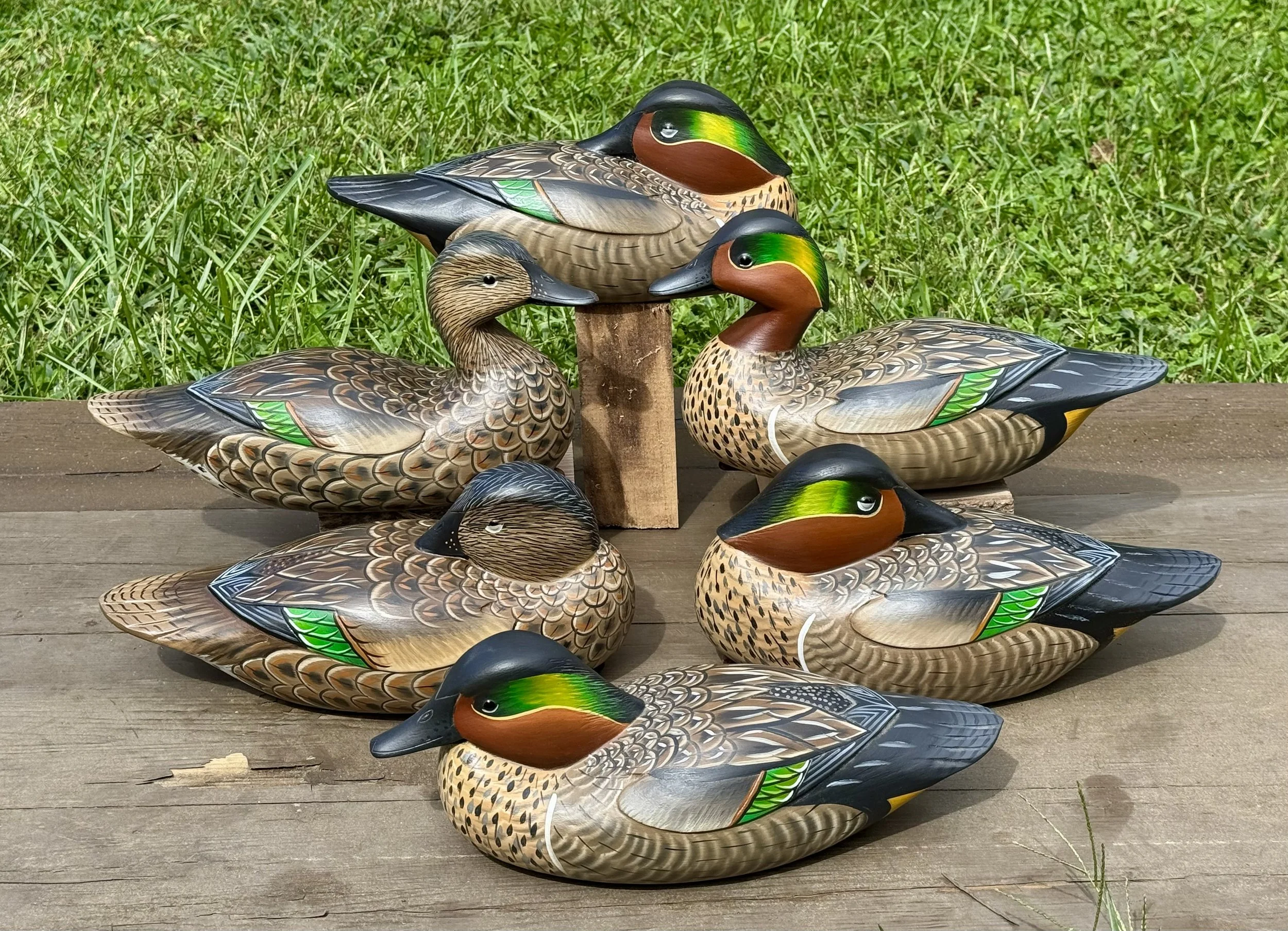 2026 Green -wing Teal Rig.